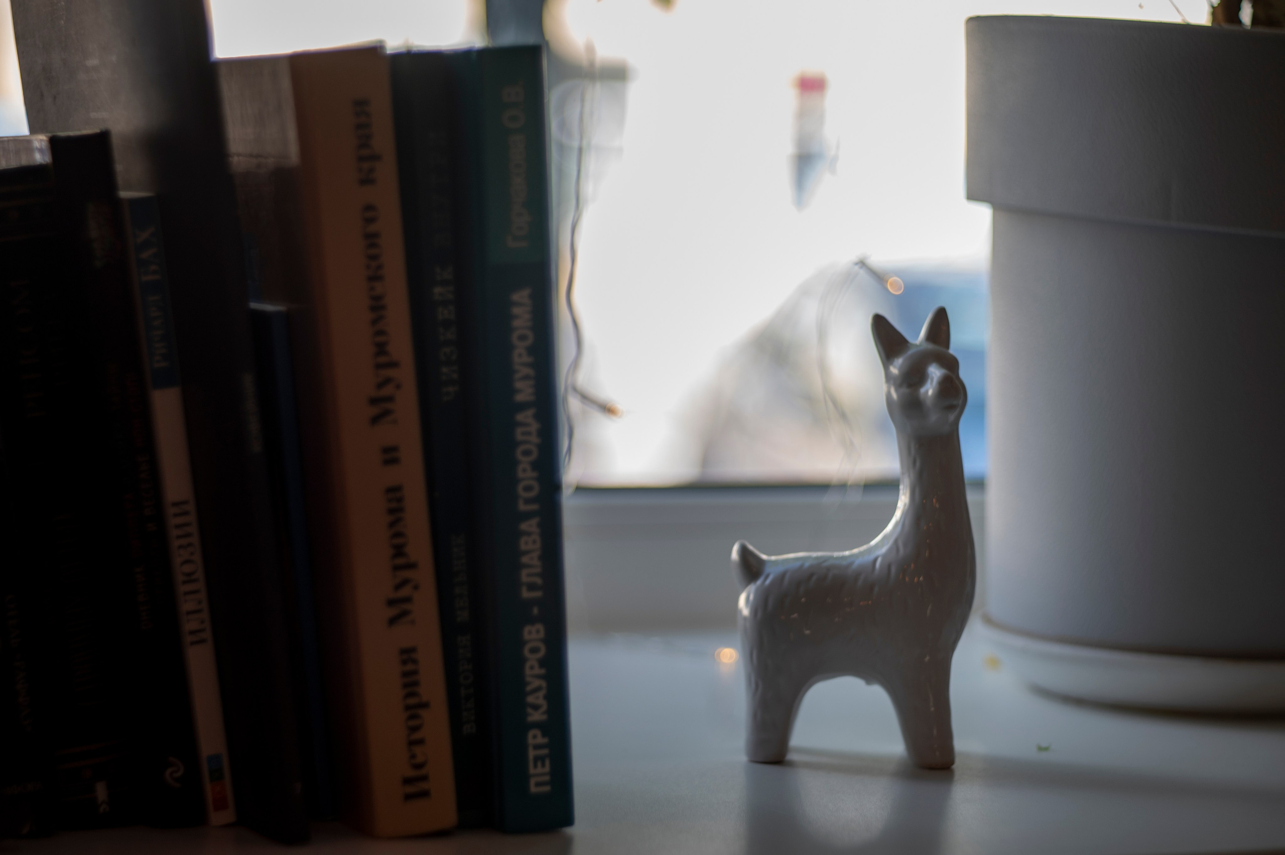 Муром. Сентябрь 2022. Фотограф Роман Адлер