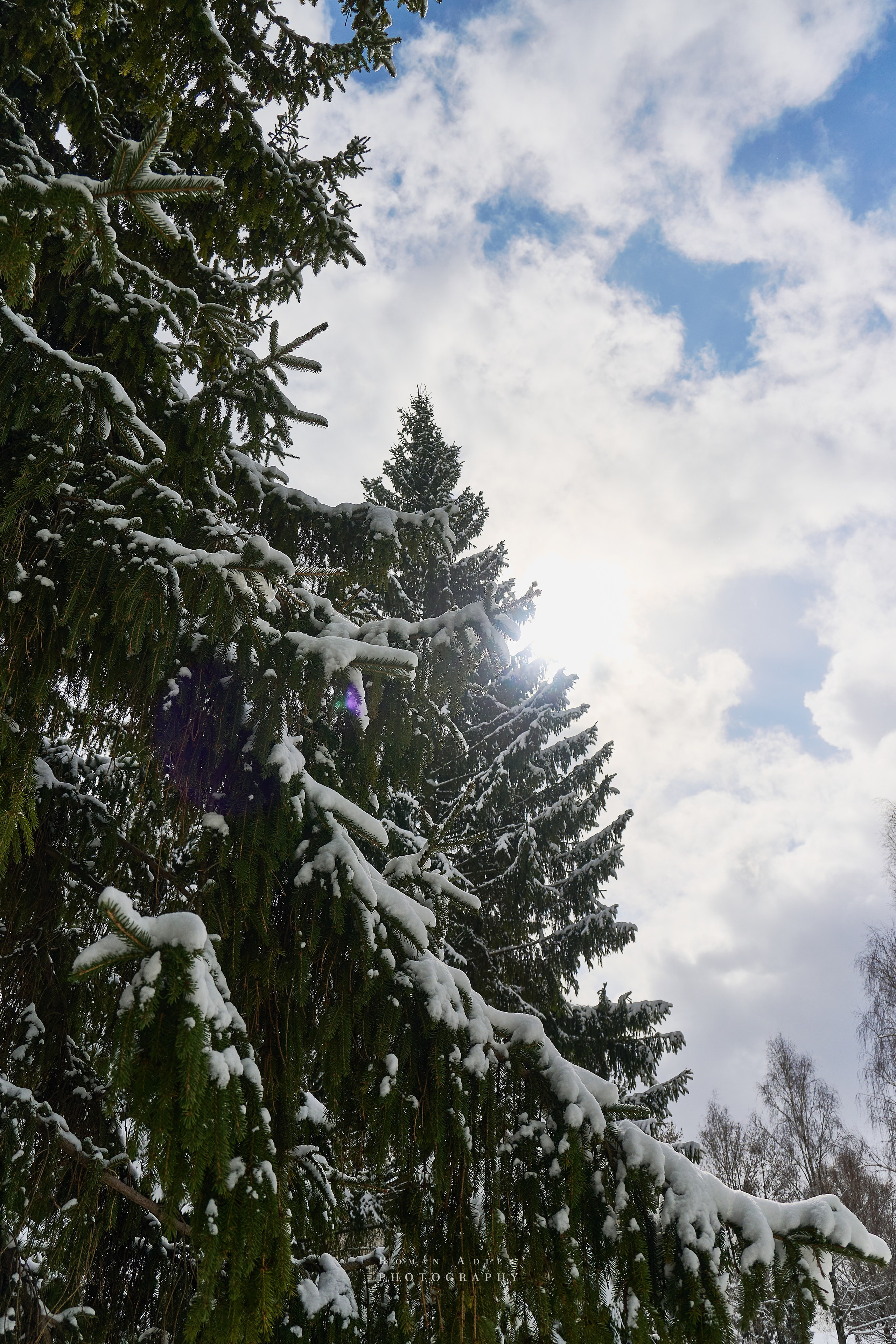 Апрельский снег. Москва 2025. Фотограф Роман Адлер