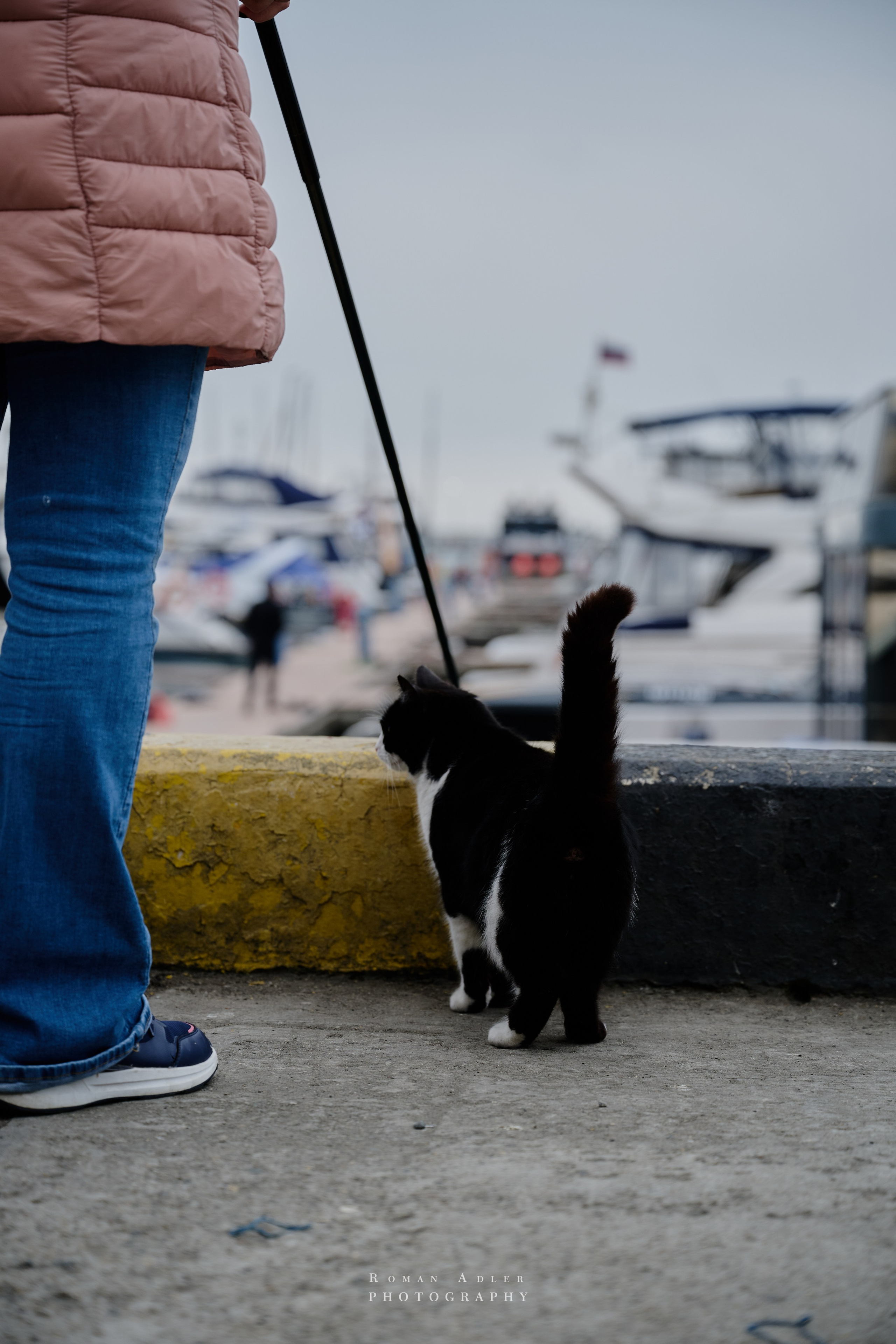 Сочи. Апрель 2025. Фотограф Роман Адлер