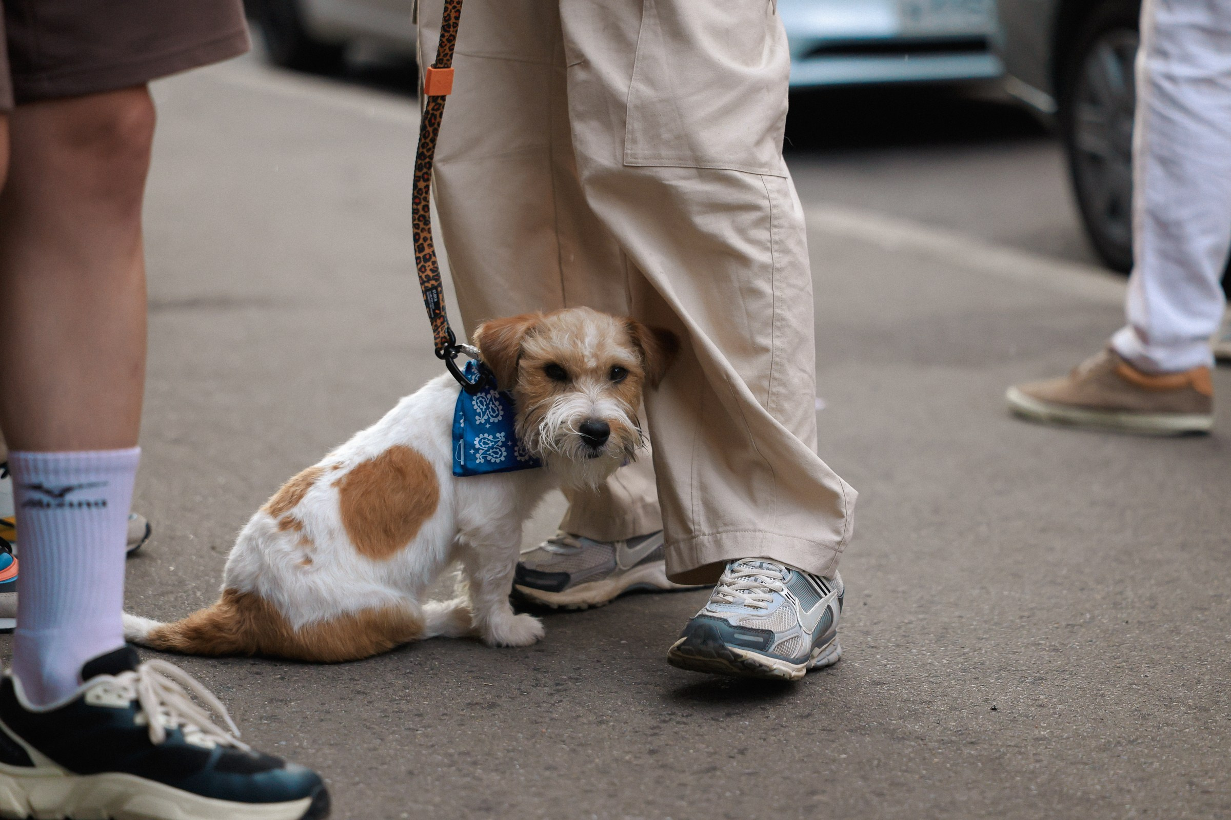 /РЕПОРТАЖ/ Открытие вело сезона VETER.CC SPB. 2024. Свадебный фотограф Великий Новгород Станислав Кособудский