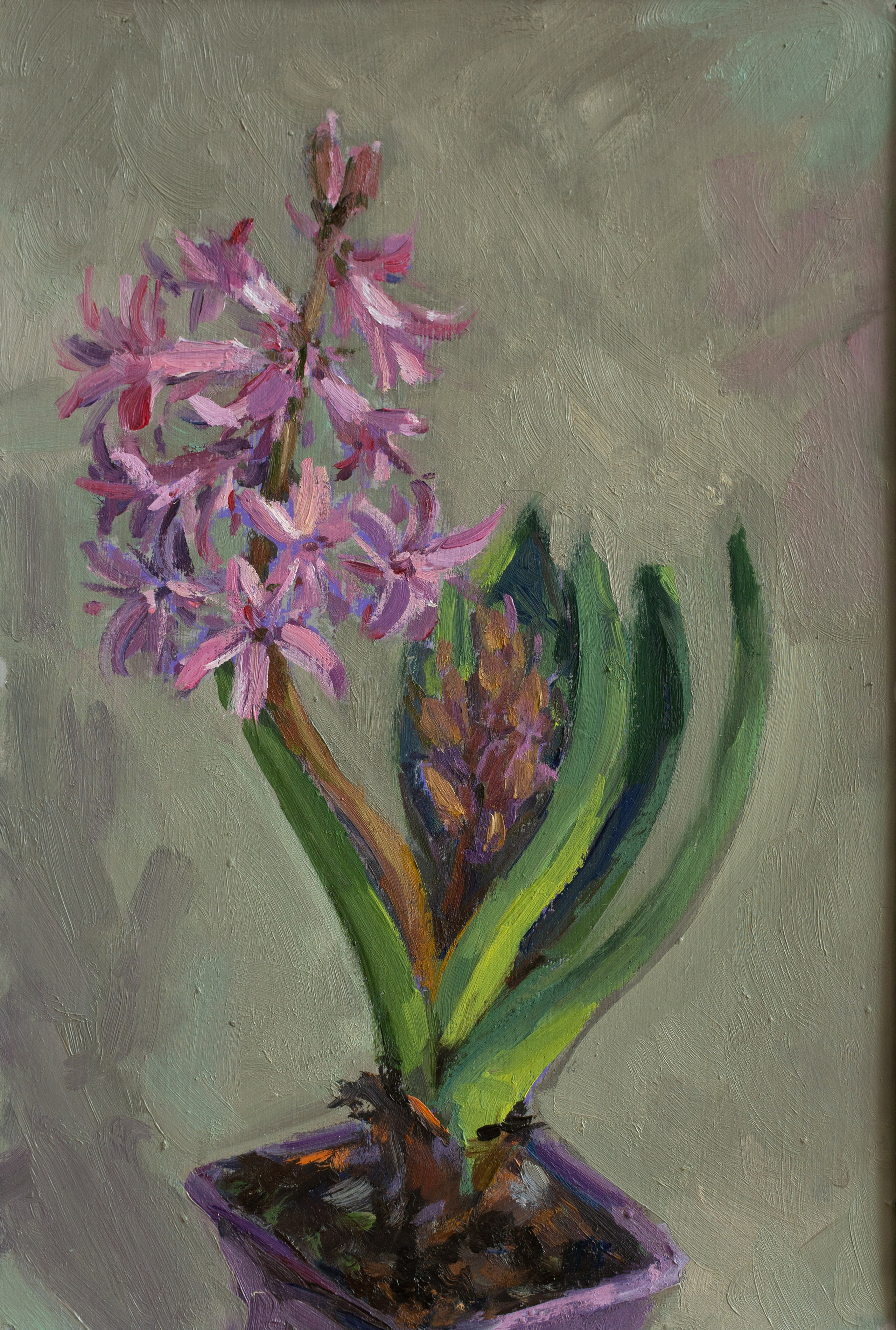 "Этюд. Розовый гиацинт" картон, масло 30х20см, 2025г