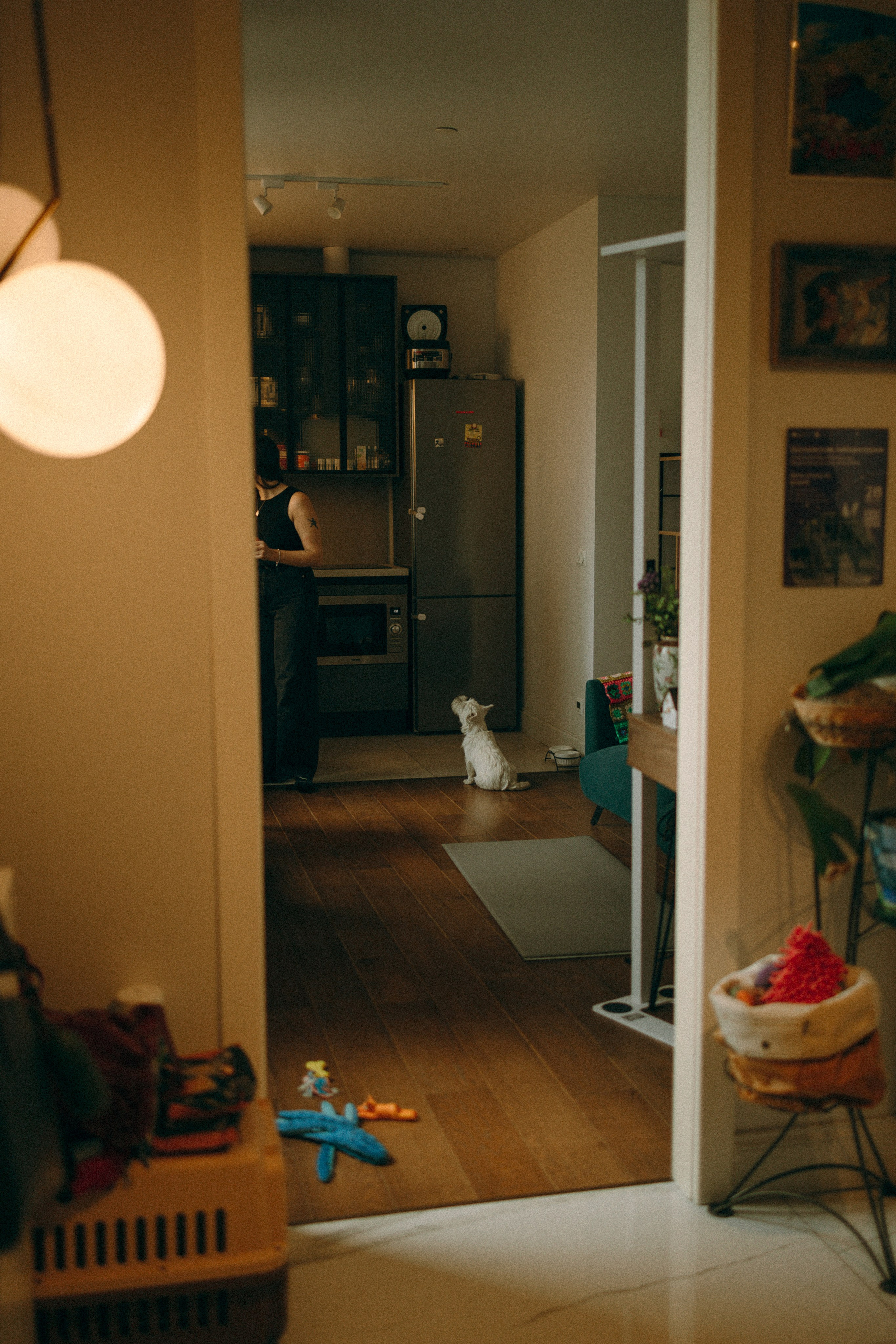 Снежуля, Мари и Саша. Фотограф анималист Анастасия Пикей