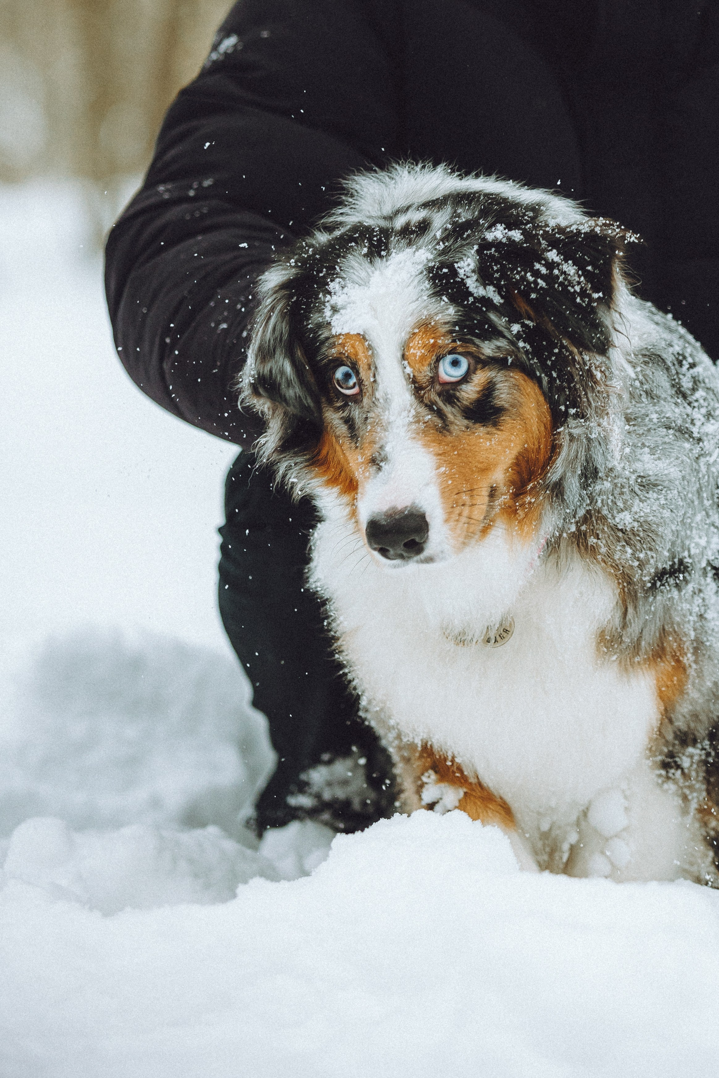 Фаня и ее семья