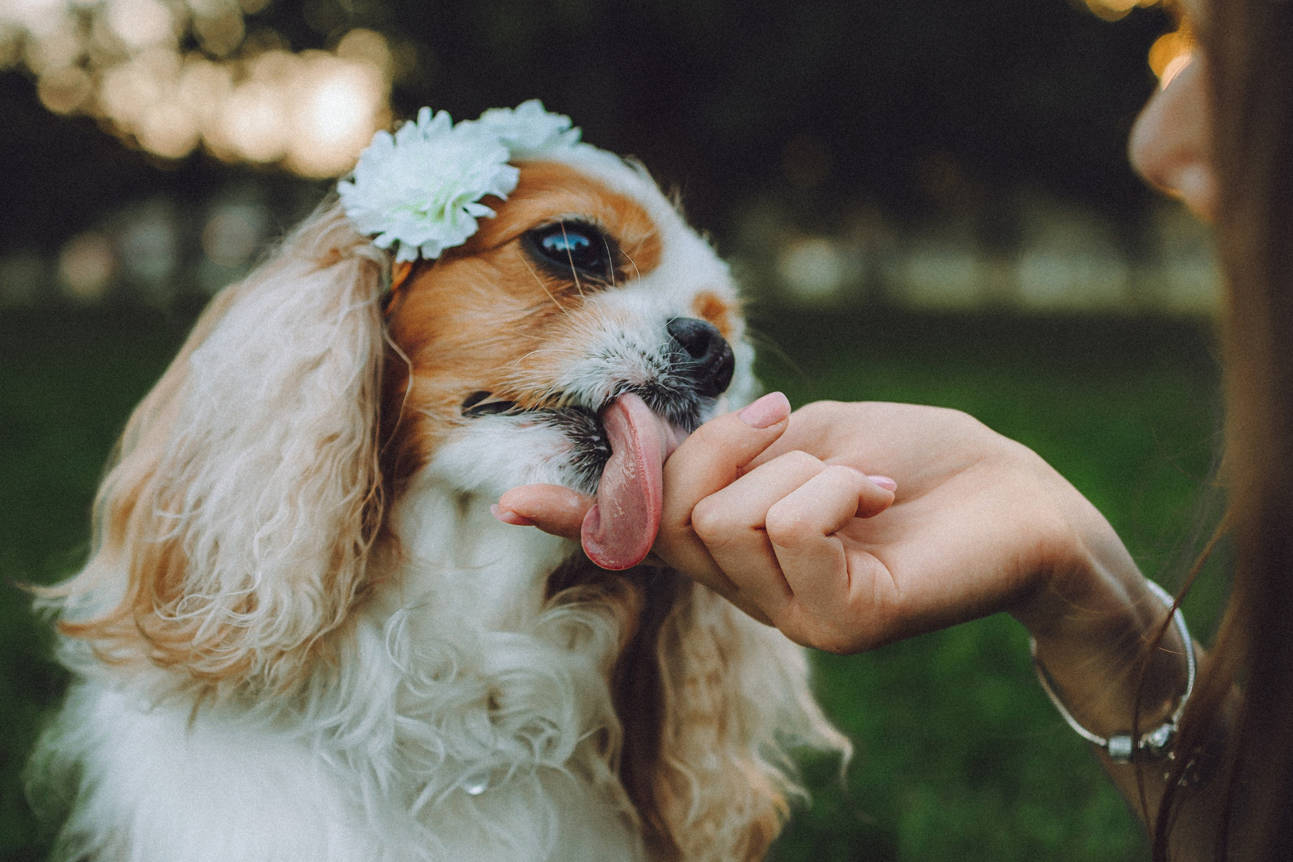 Наташа и Вики