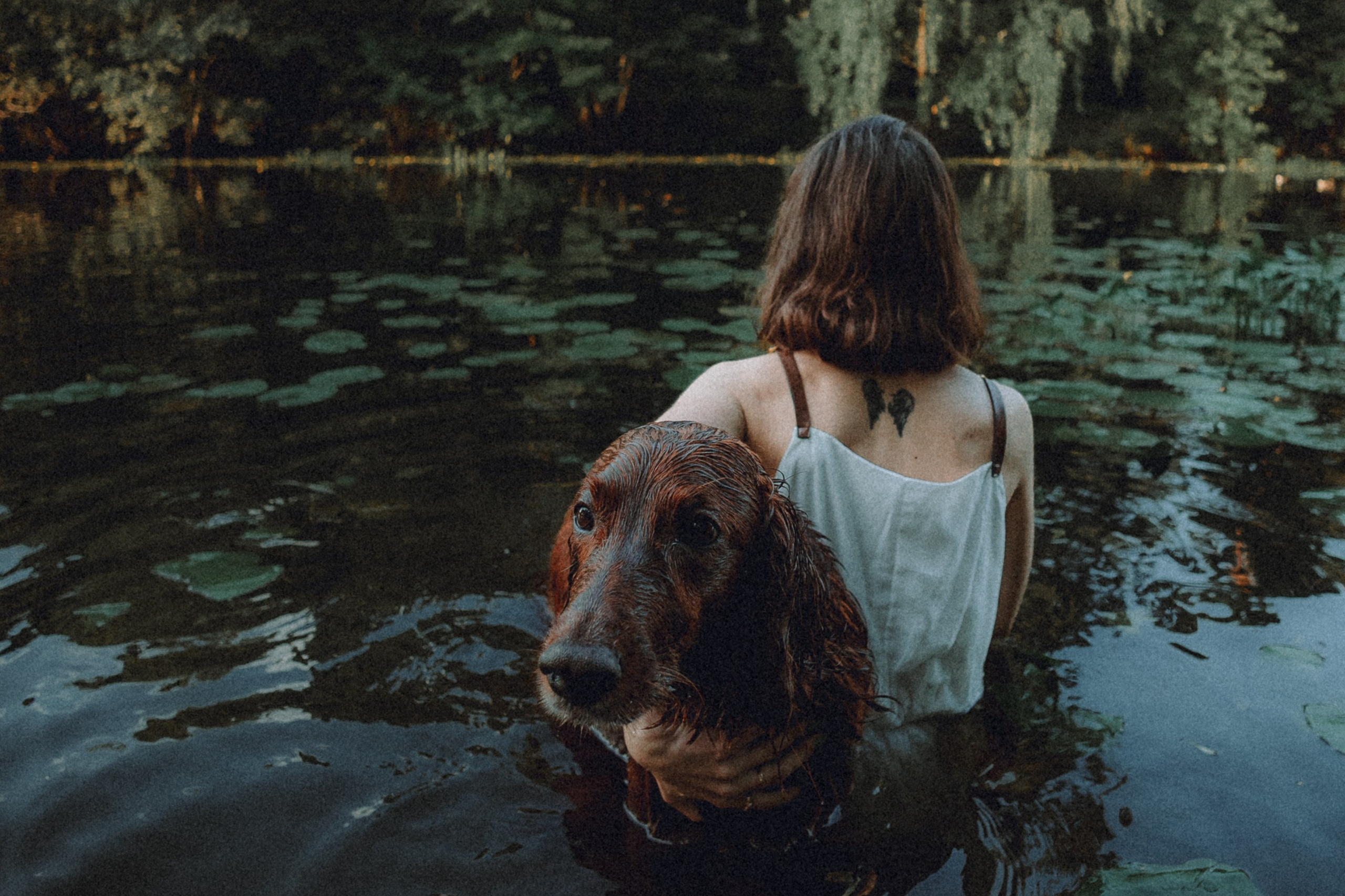 Маша и Джерри