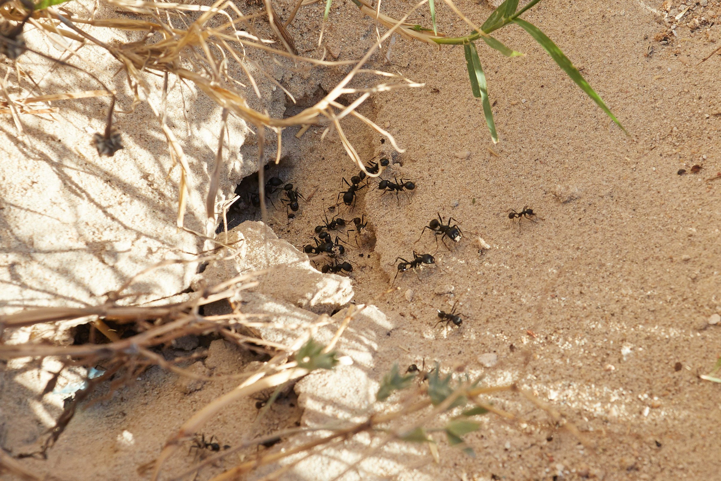 Тунис. Рекламный коммерческий фотограф в Москве Владимир Лукьянов