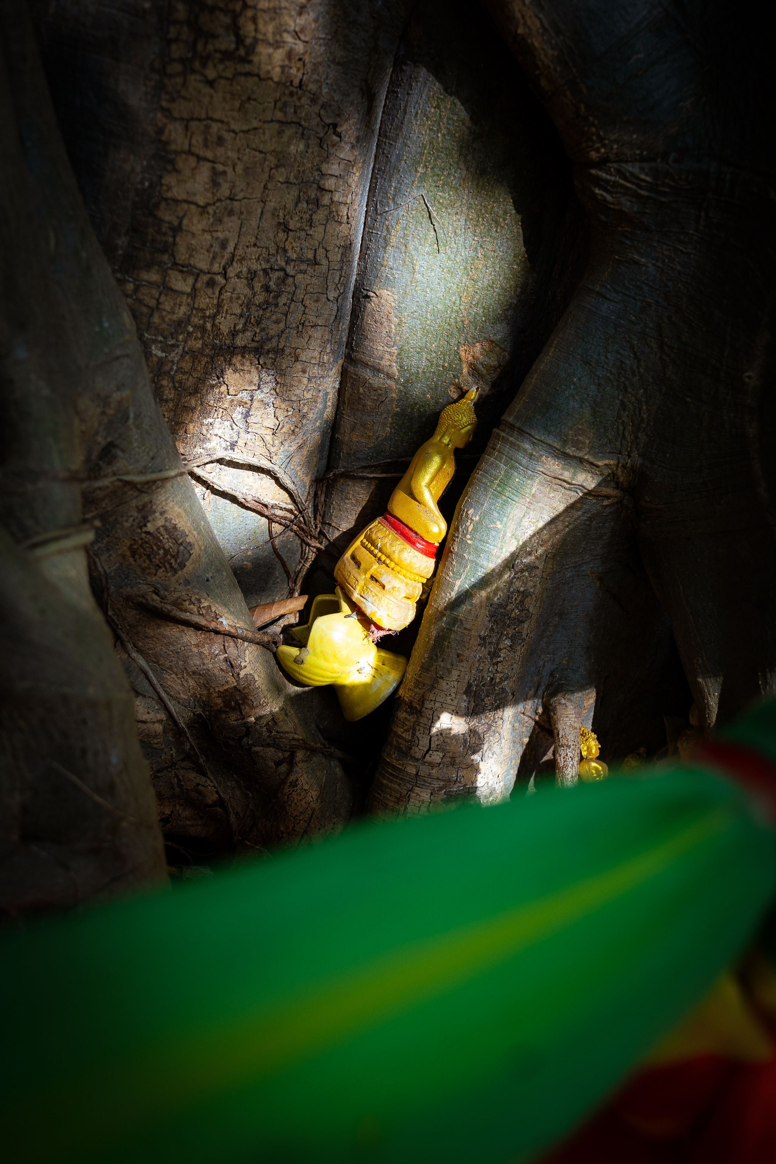 Таиланд (зима 2025). Фотограф Виноградов Константин