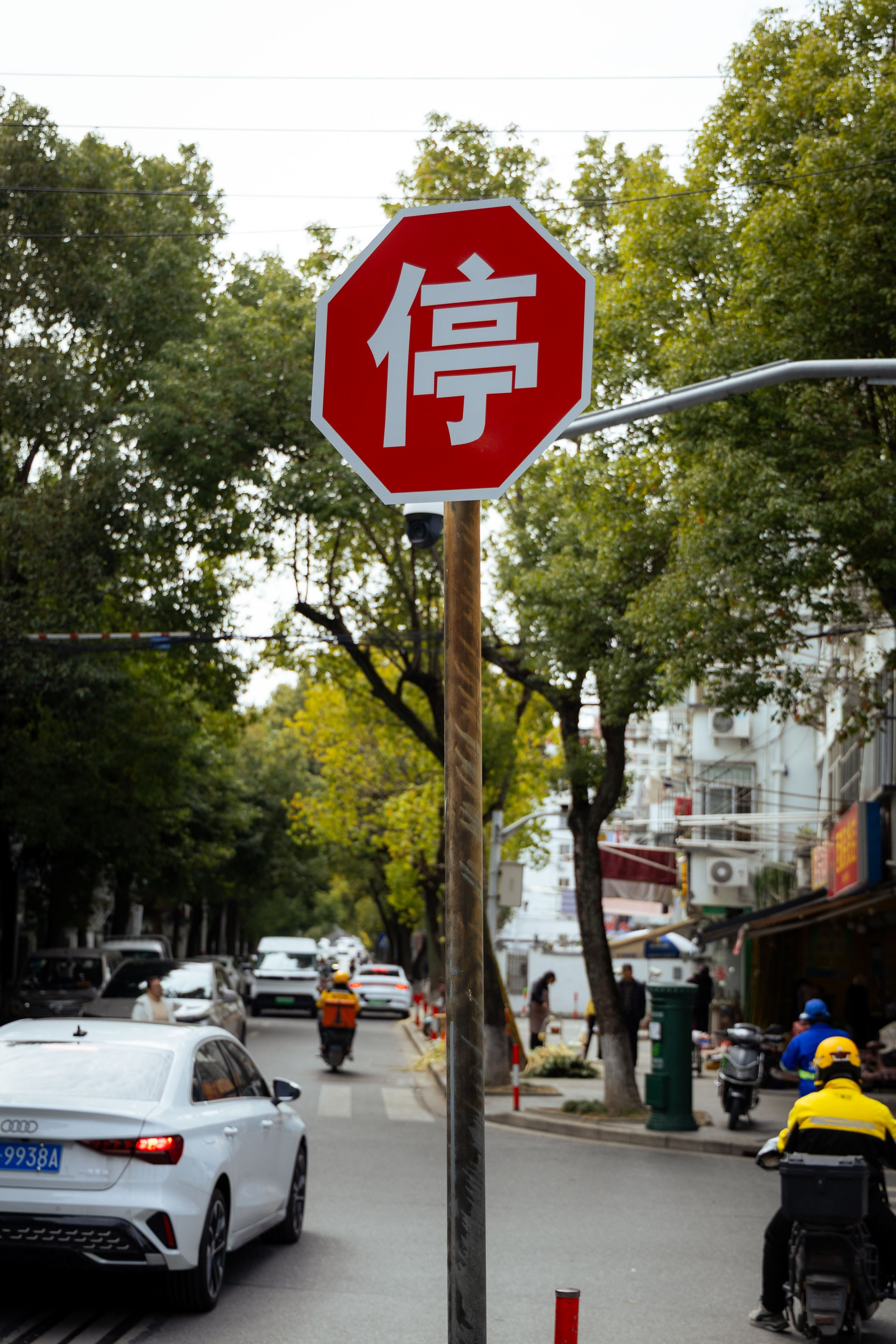 Шанхай (март 2026). Фотограф Виноградов Константин