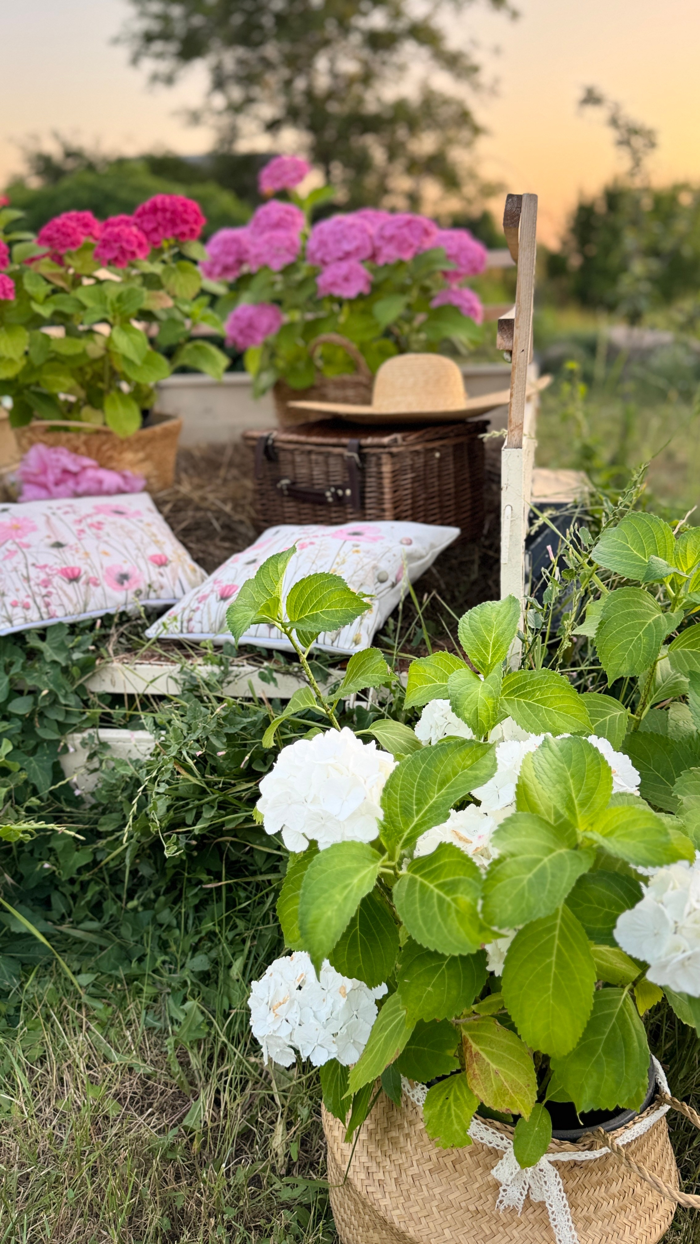 Локации с цветами. Фотостудия Натальи Забродской