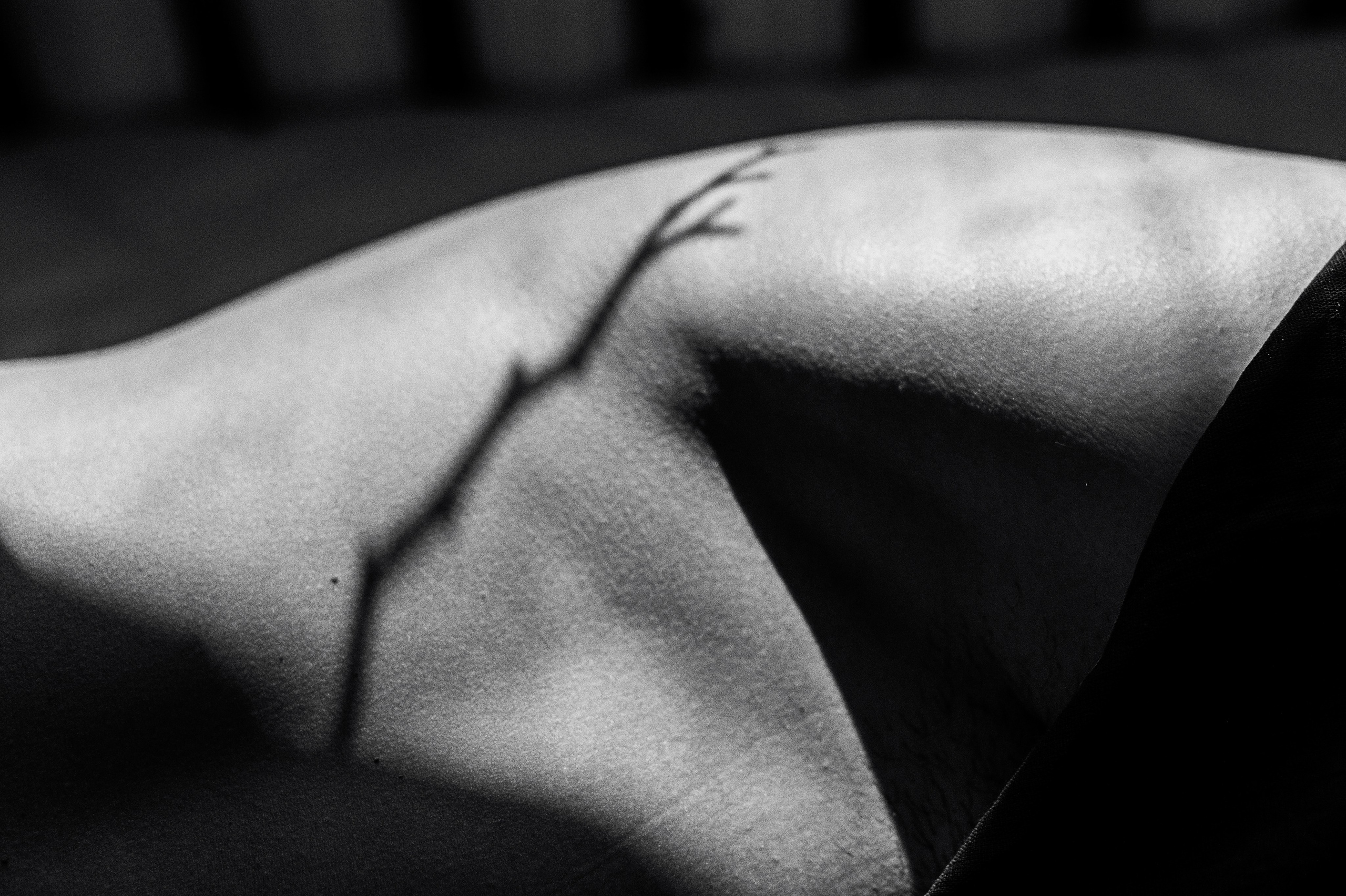 Алексей. Сергей Виноградов фотограф Россия Санкт-Петербург