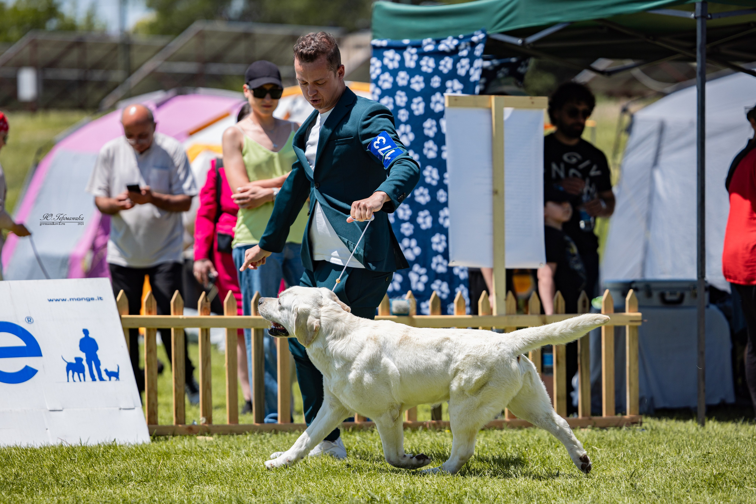 Ереван 3-5.06.2024. Фотограф-анималист Юлия Германика