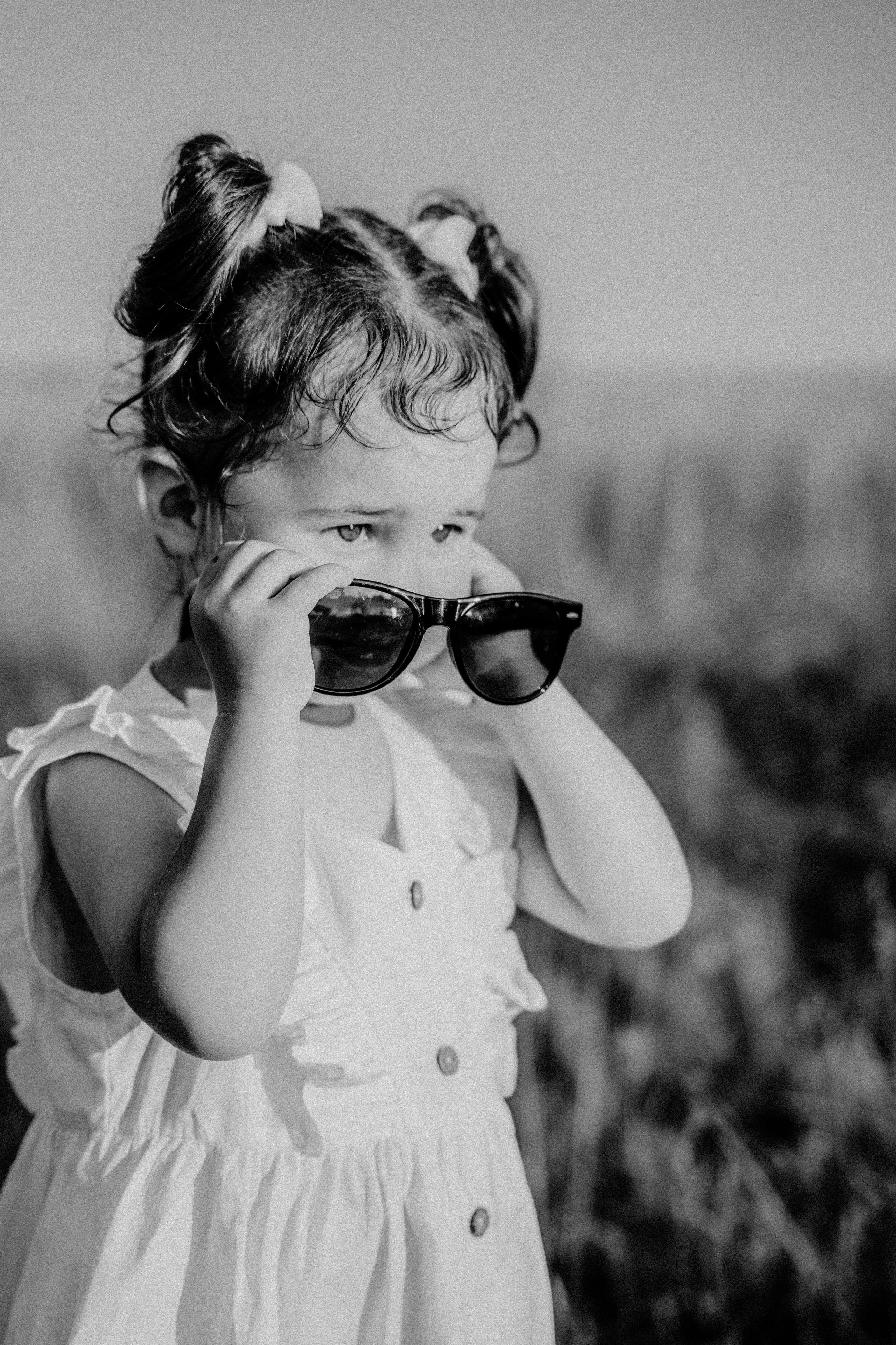 Солнце.Закат.Поле