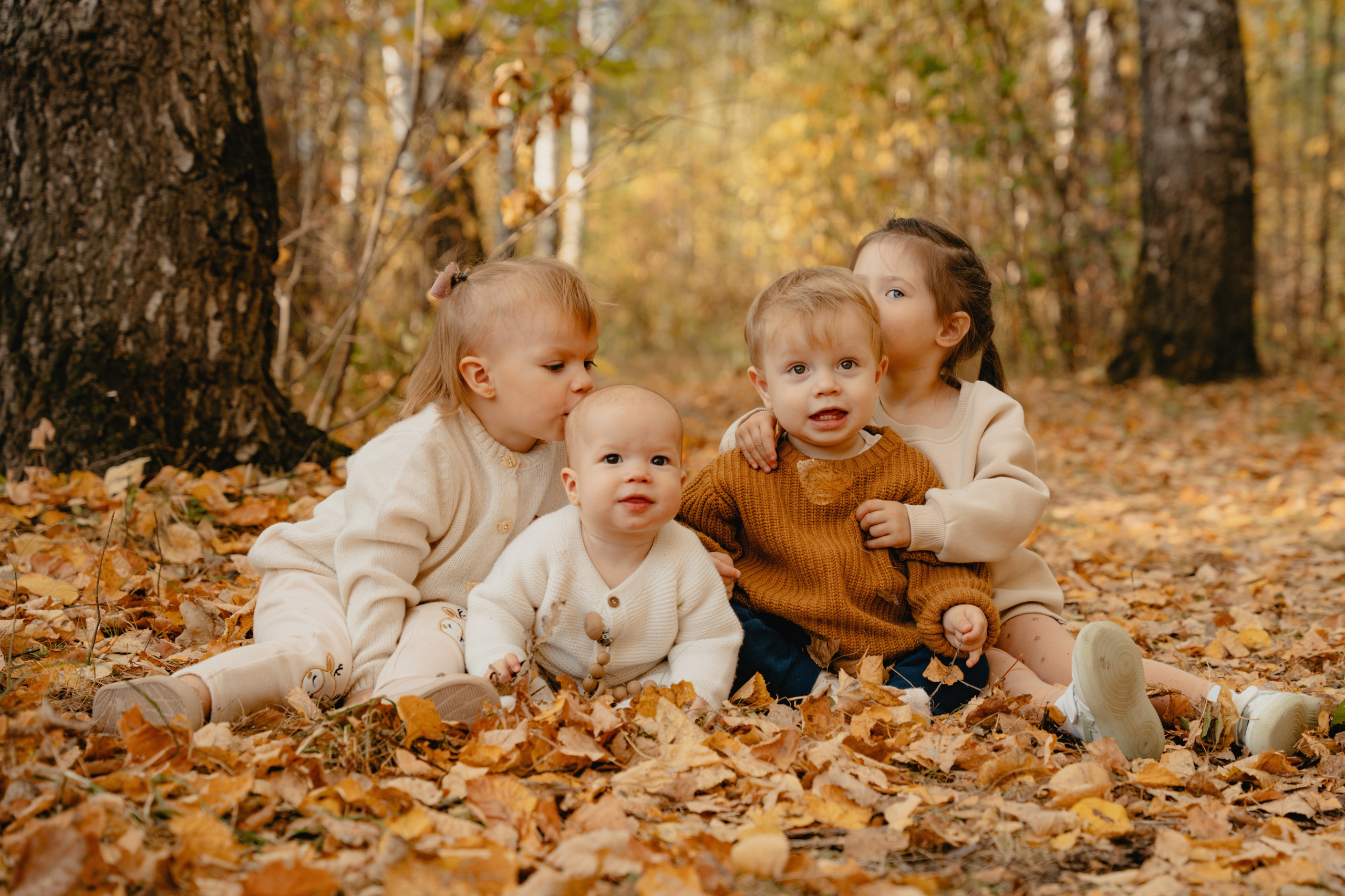 Осенние краски в закате солнца
