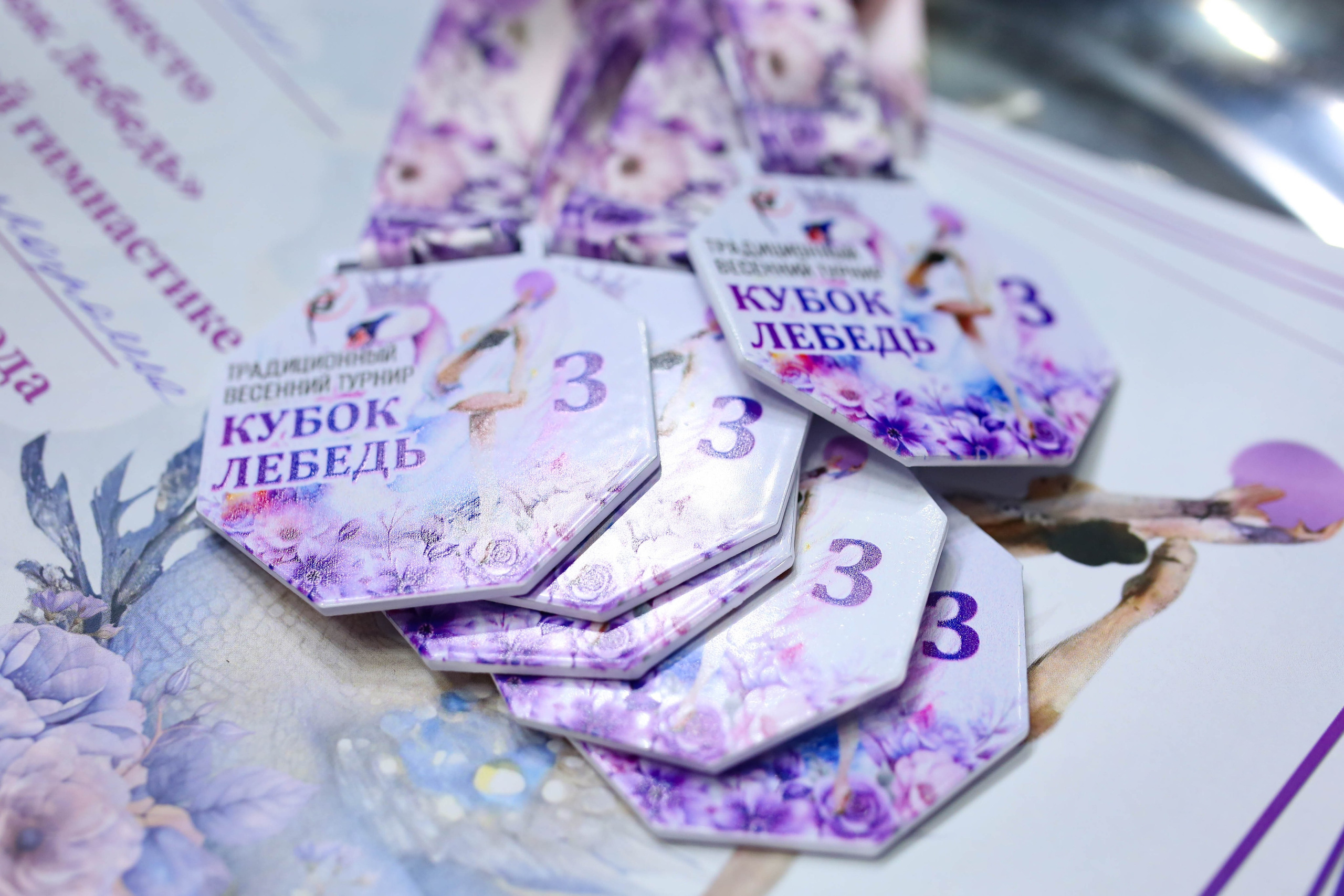 2026.03.17 Кубок Лебедя. RB-gymnastic