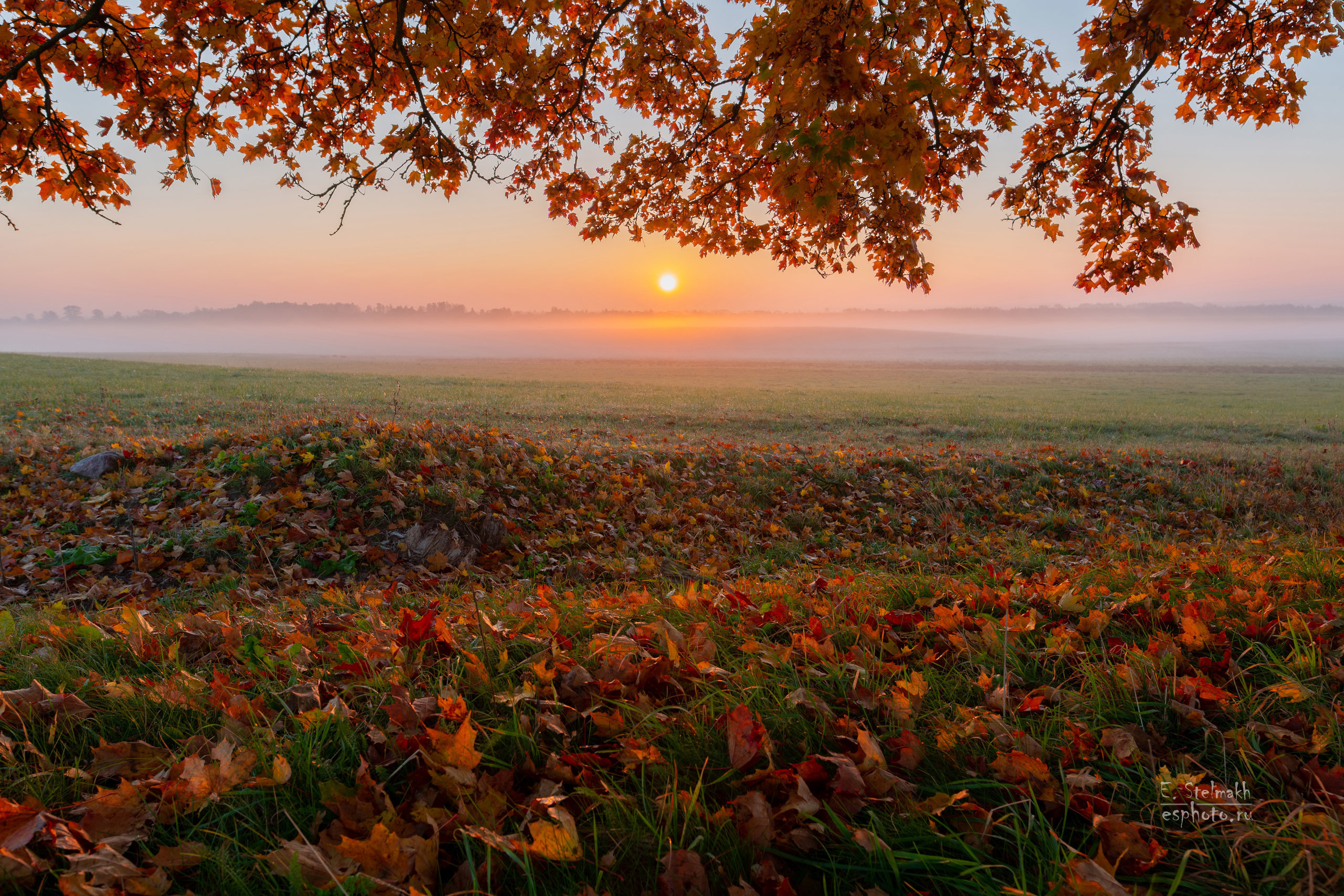 Утро в октябре