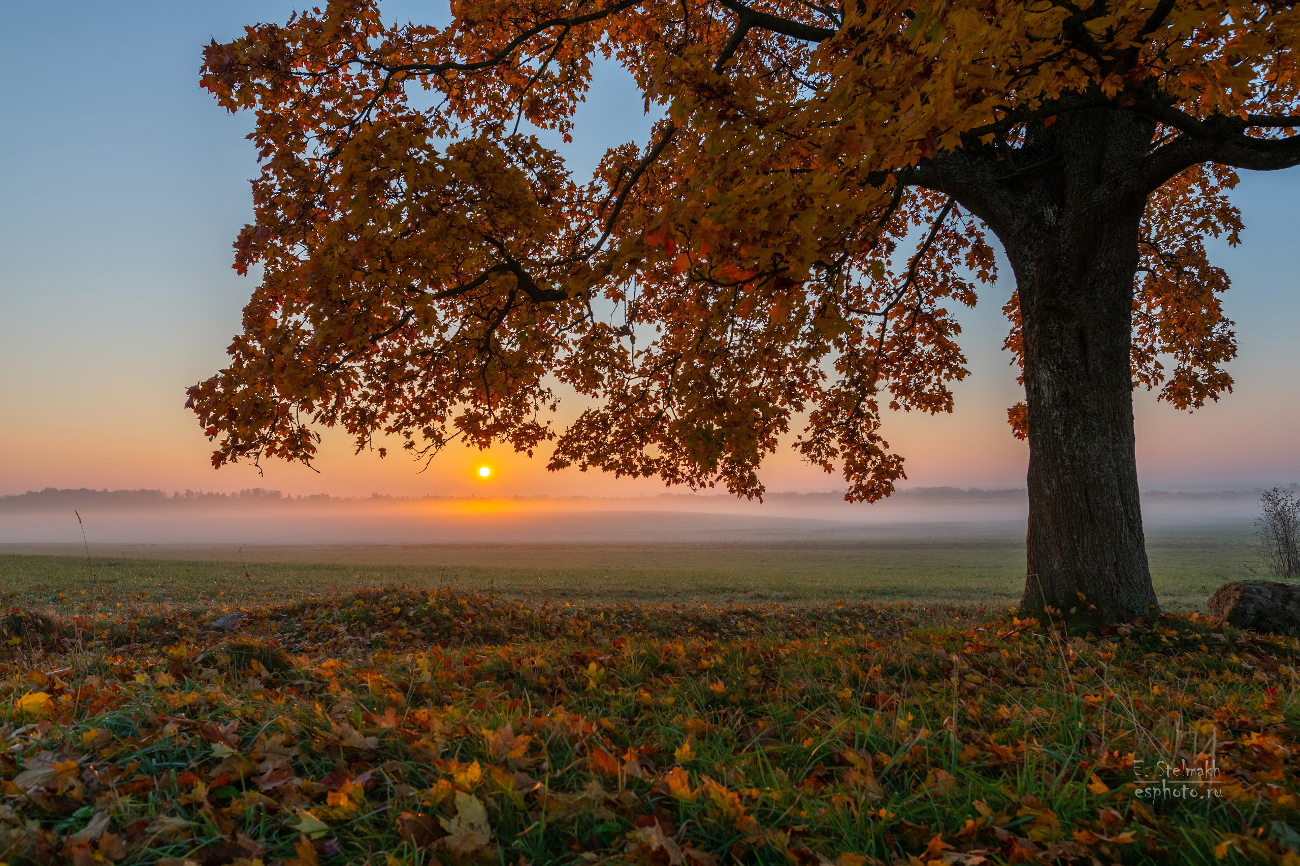 Октябрьское утро