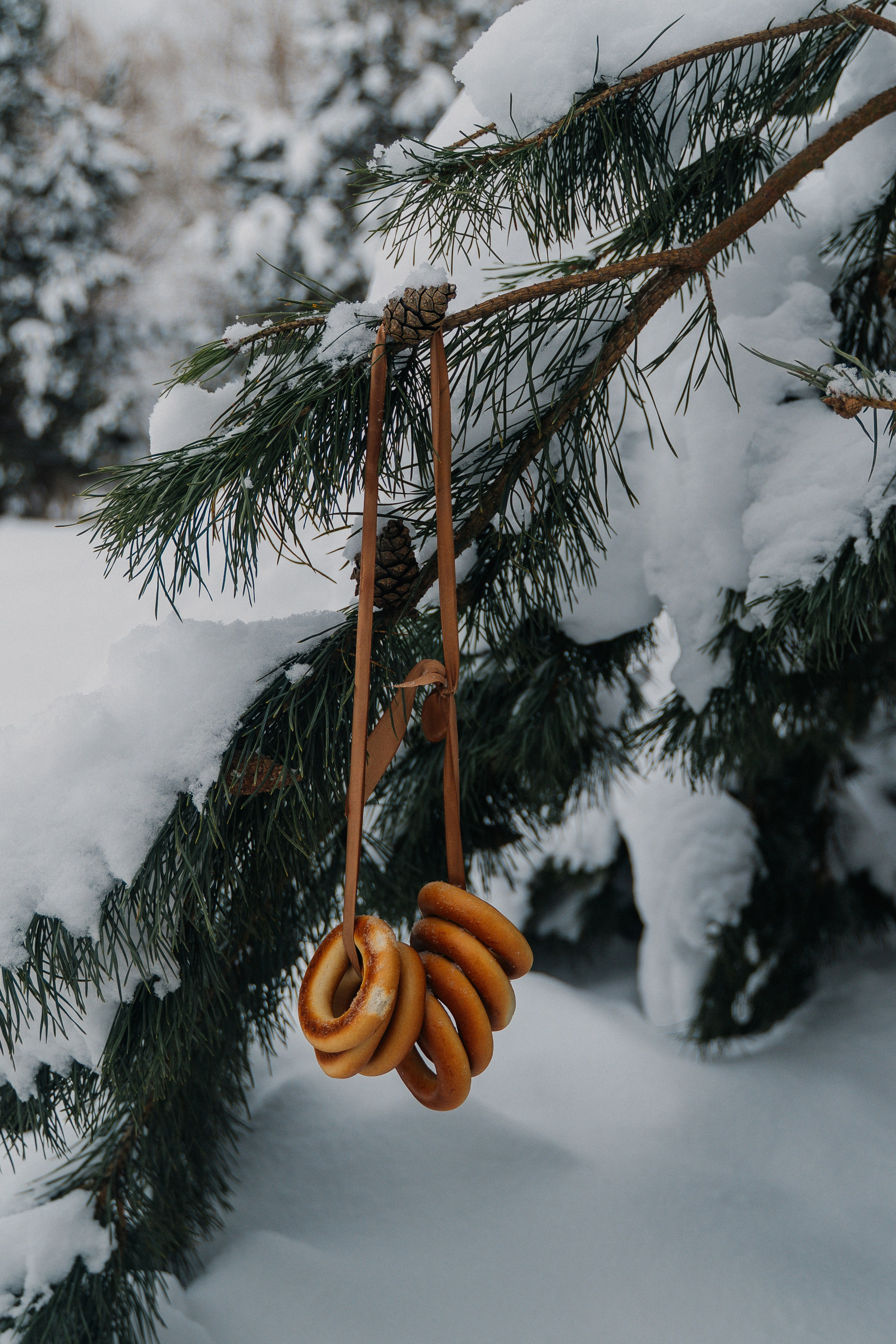 Зимняя сказка. FotoTanya. Раменское/Жуковский/Бронницы