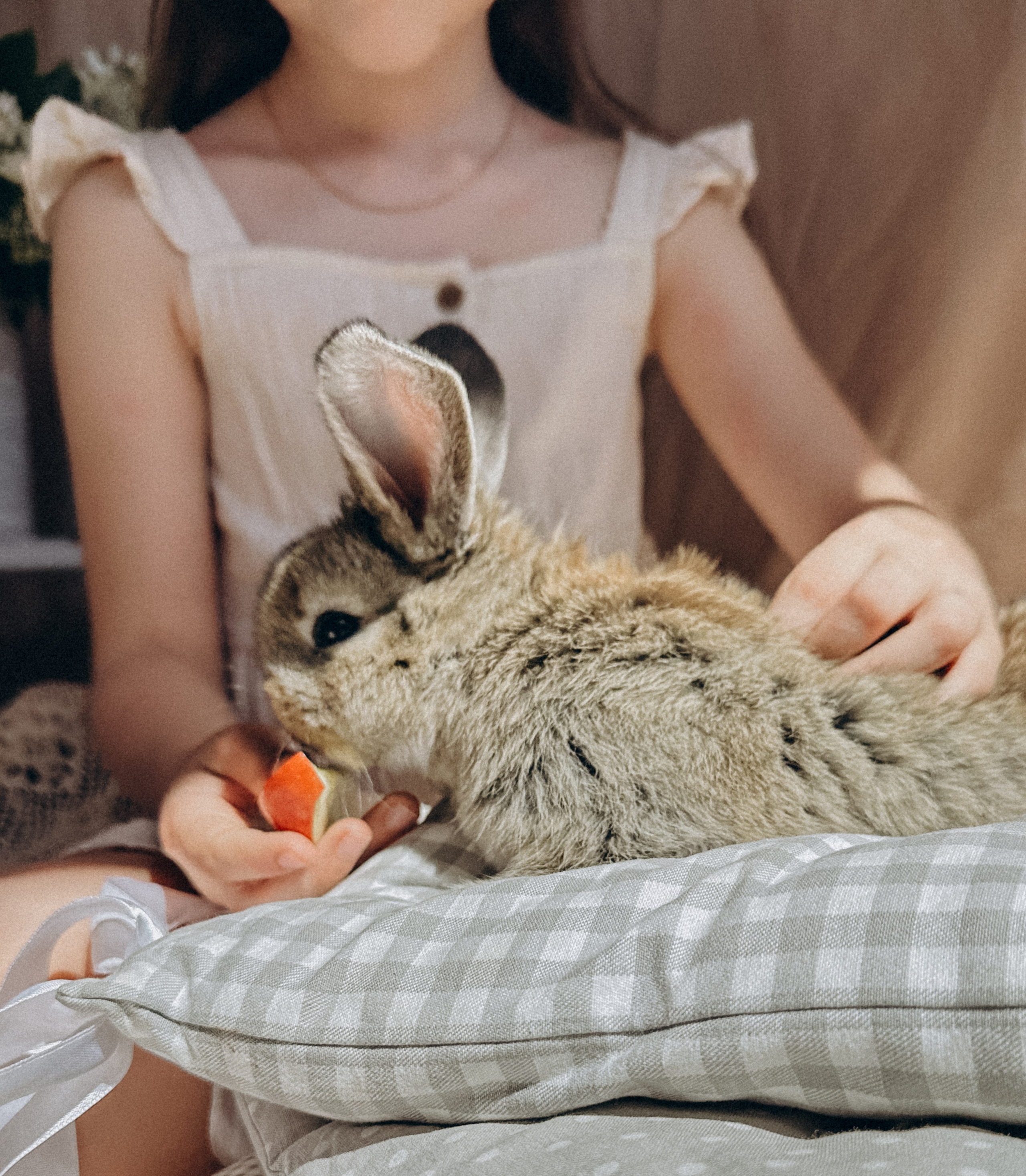 УШАСТАЯ ИСТОРИЯ…. FotoTanya. Раменское/Жуковский/Бронницы