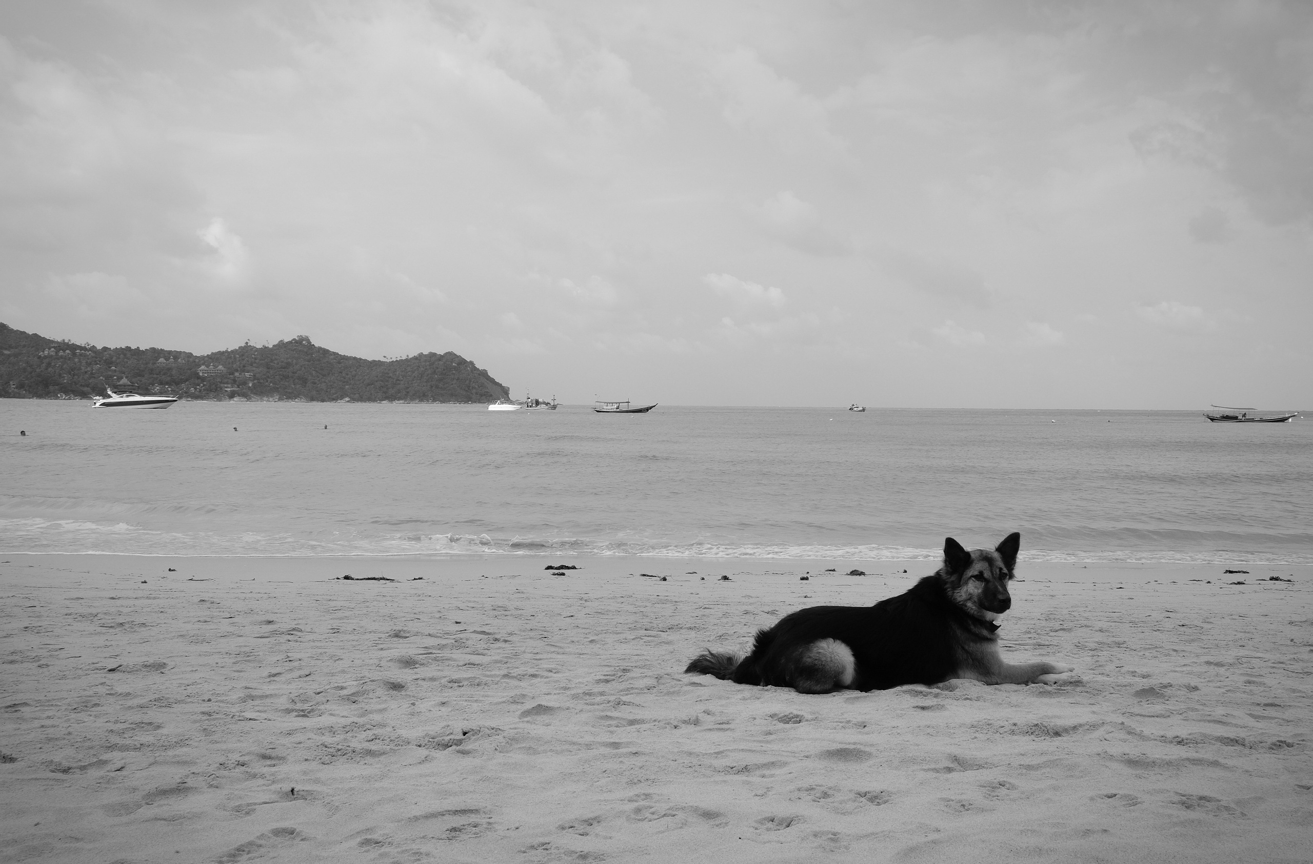 Street/ Thailand/ 2020. Anna Fedo Photo