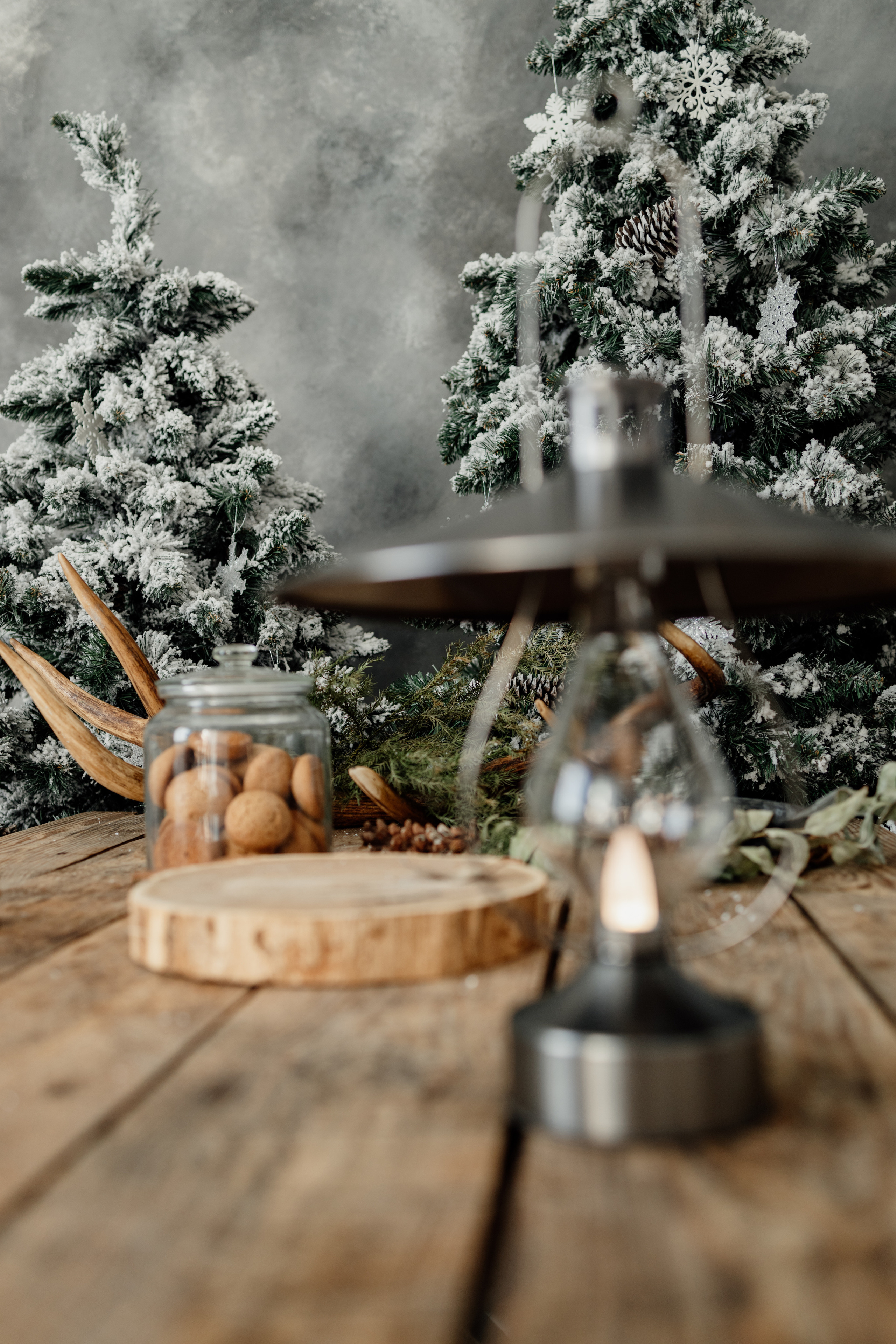 Майя Новогодняя. Валерия Солнцева свадебный и семейный фотограф