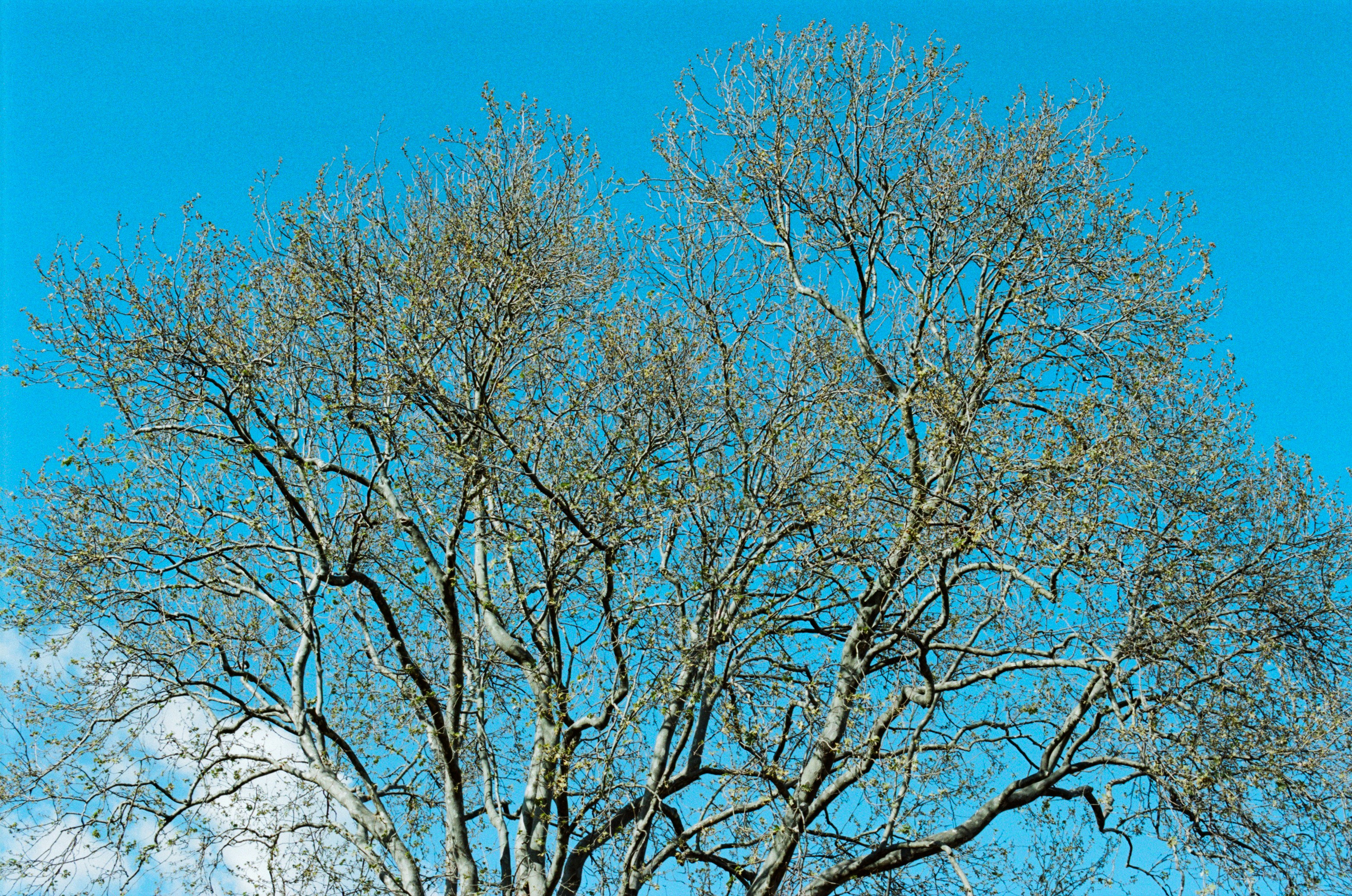 Silver strings // ukraine, crimea. EVER EXPOSED