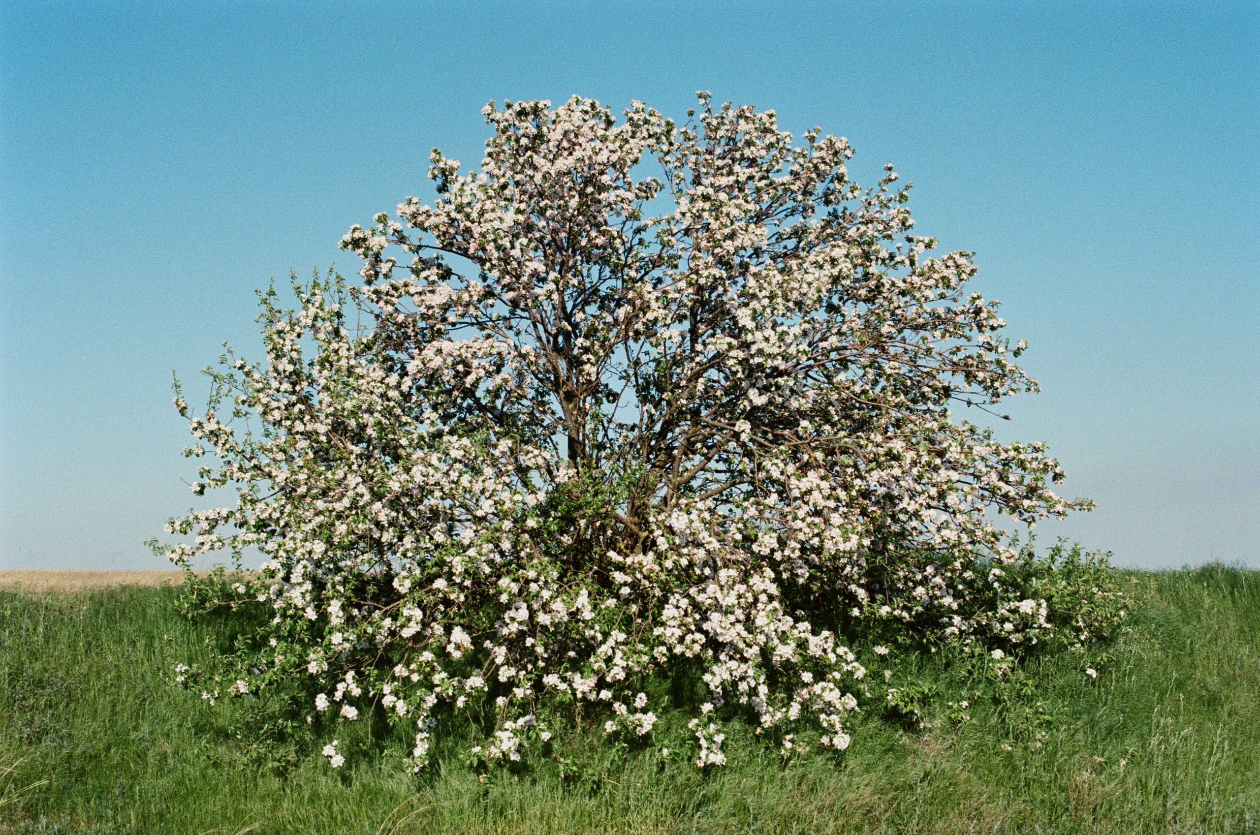 The drugs don't work // ukraine, crimea. EVER EXPOSED