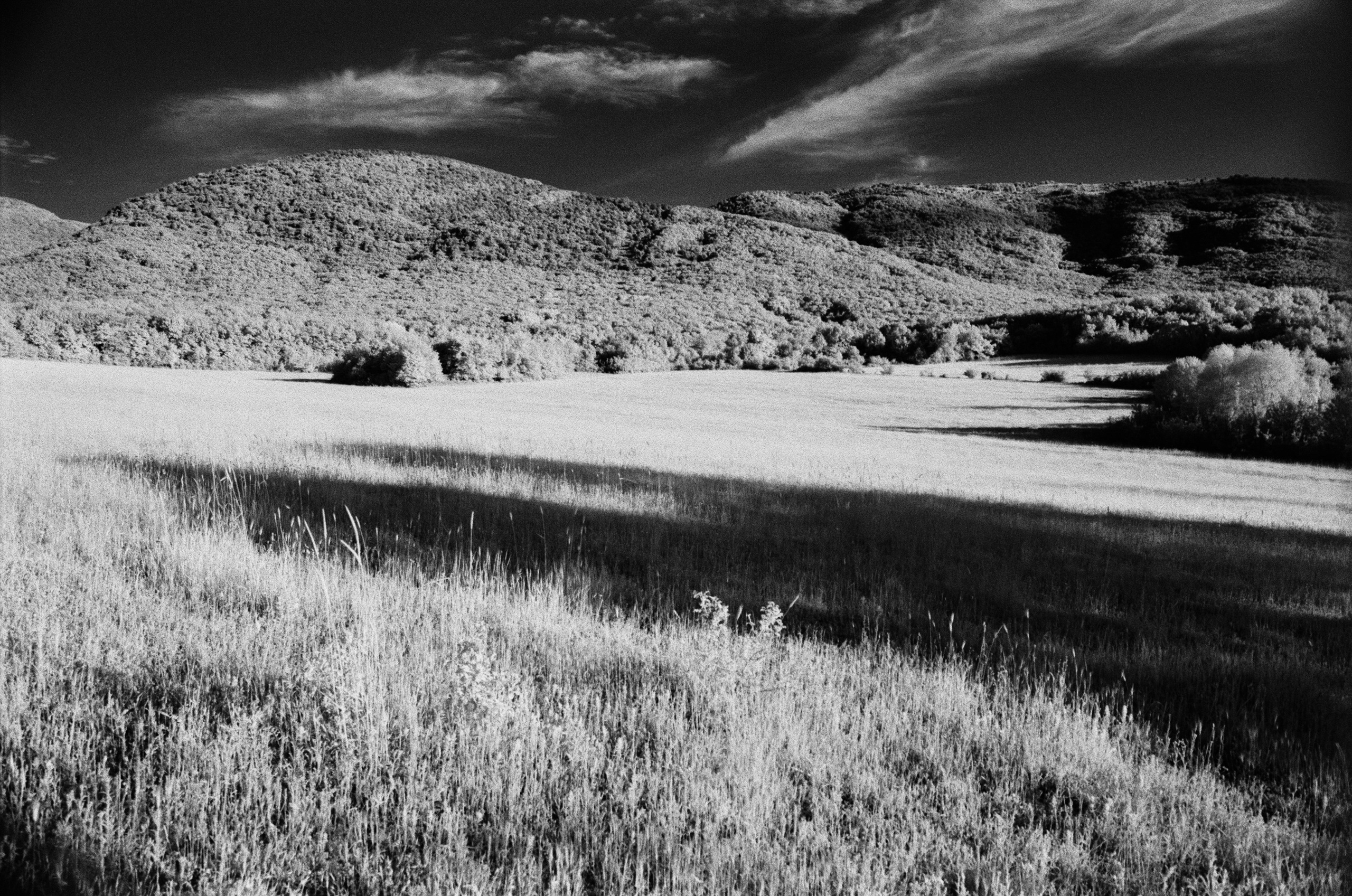 Point of no reply // ukraine, crimea IX. EVER EXPOSED