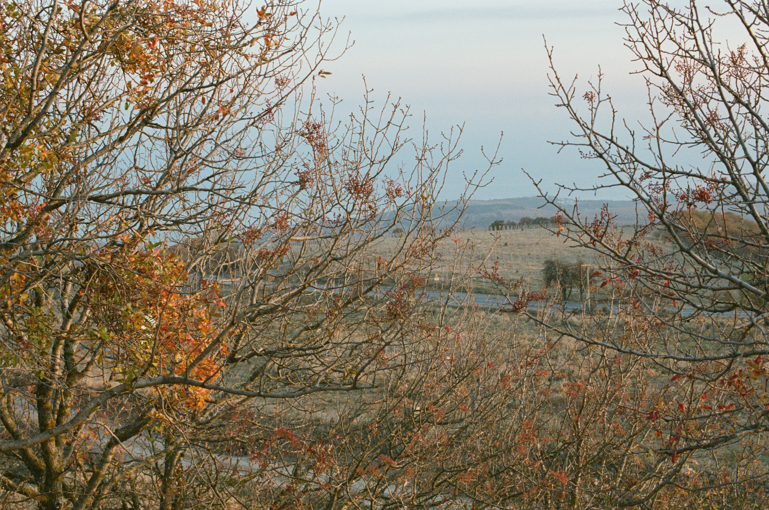 Wherever you will go // ukraine, crimea III. EVER EXPOSED
