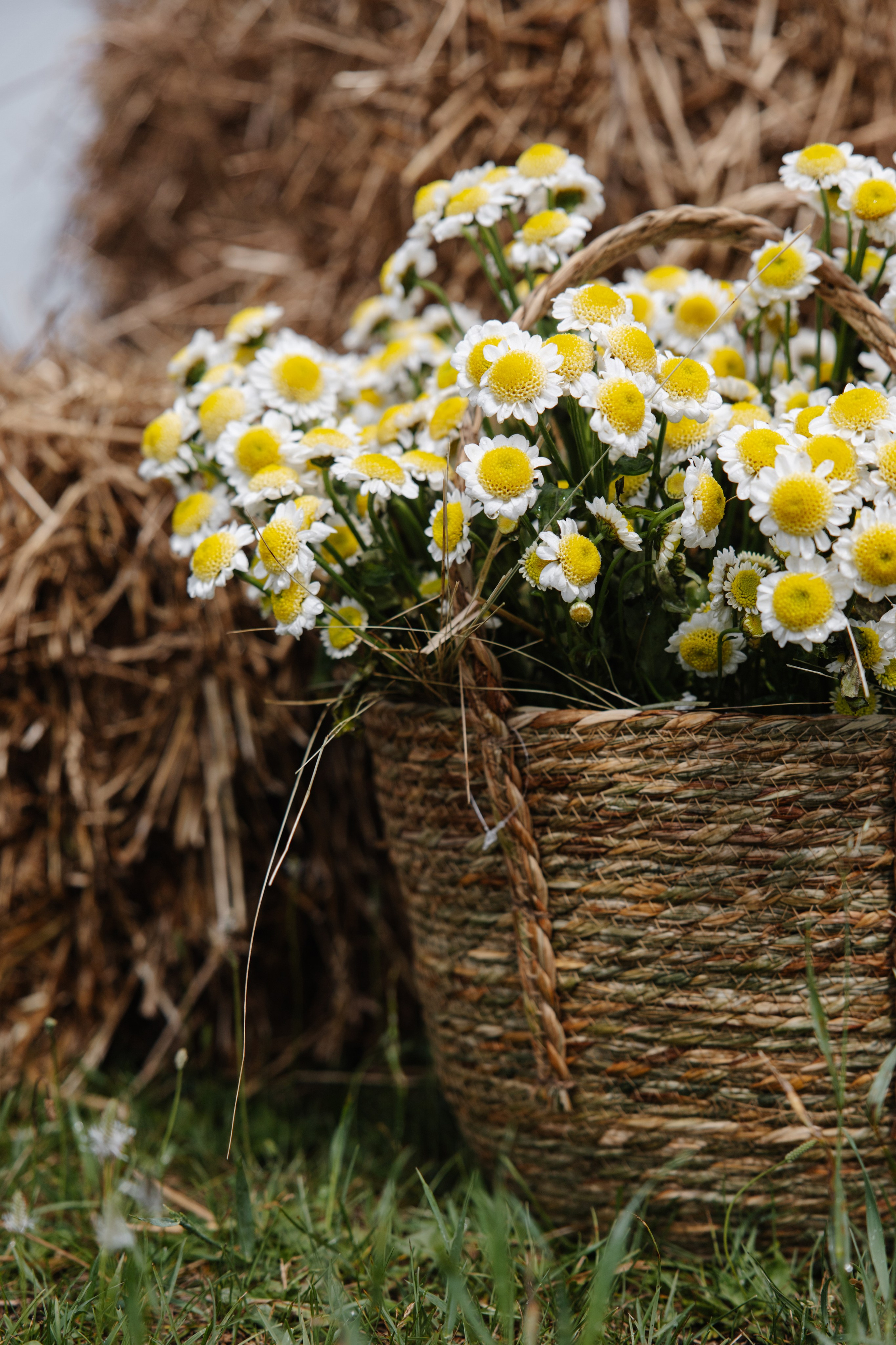 ГЕНДЕР ПАТИ. Фотограф в Красноярске