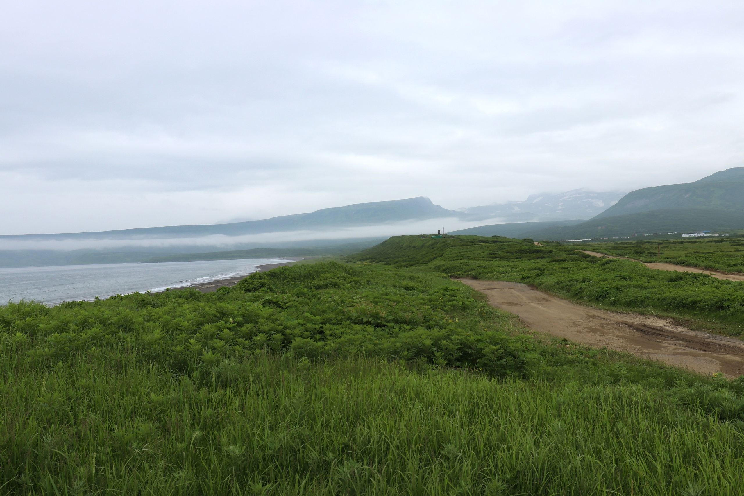 Камчатка и о. Парамушир. Июль 2024. Путешественник-фотограф из Санкт-Петербурга Татьяна Свистулина