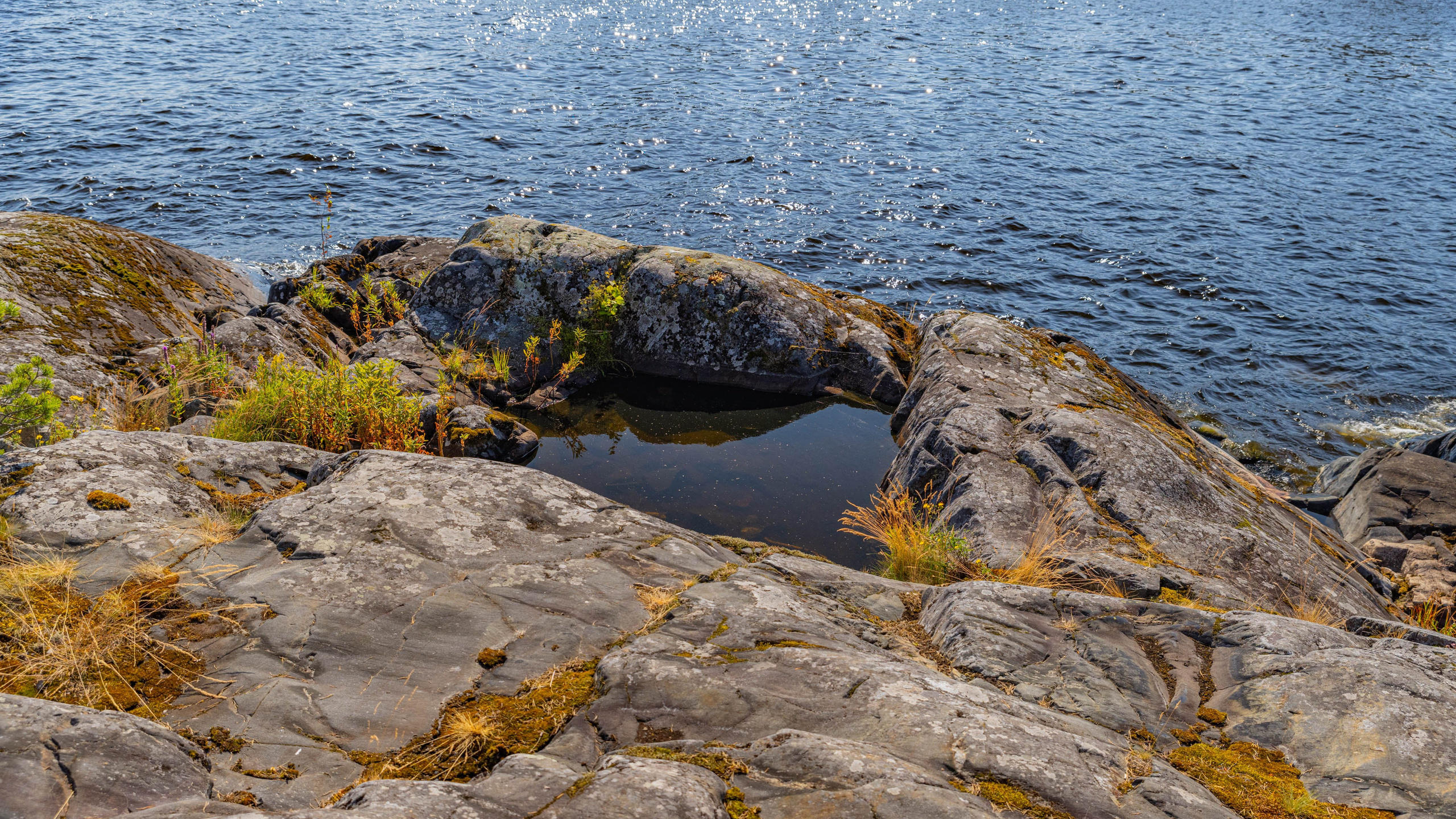 2025 07 Выборг — Сортавала — Великий Новгород — Псков. Фотографии
