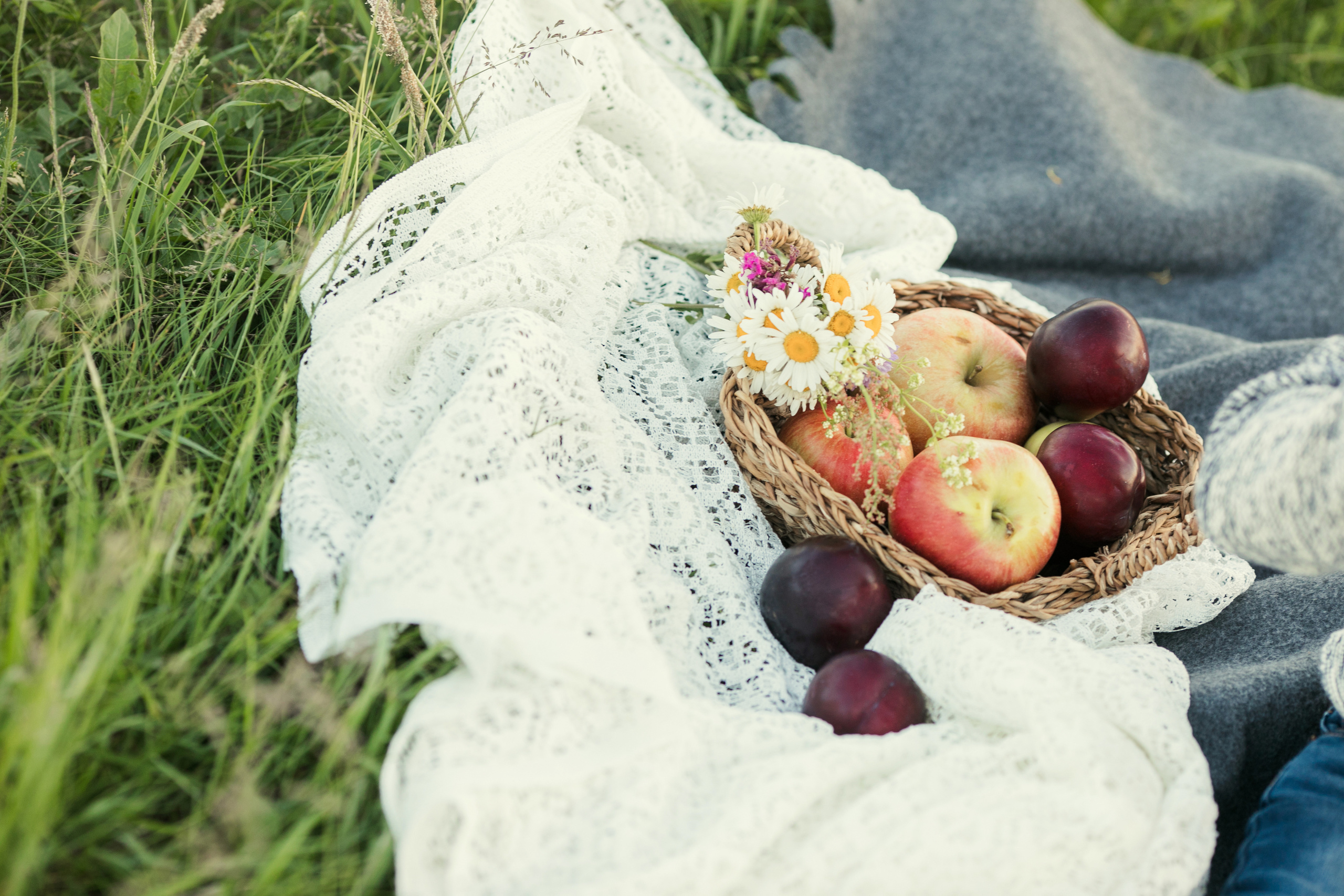 Прогулка в поле, Ленинградская область. Детский и семейный фотограф Муксимова Ирина