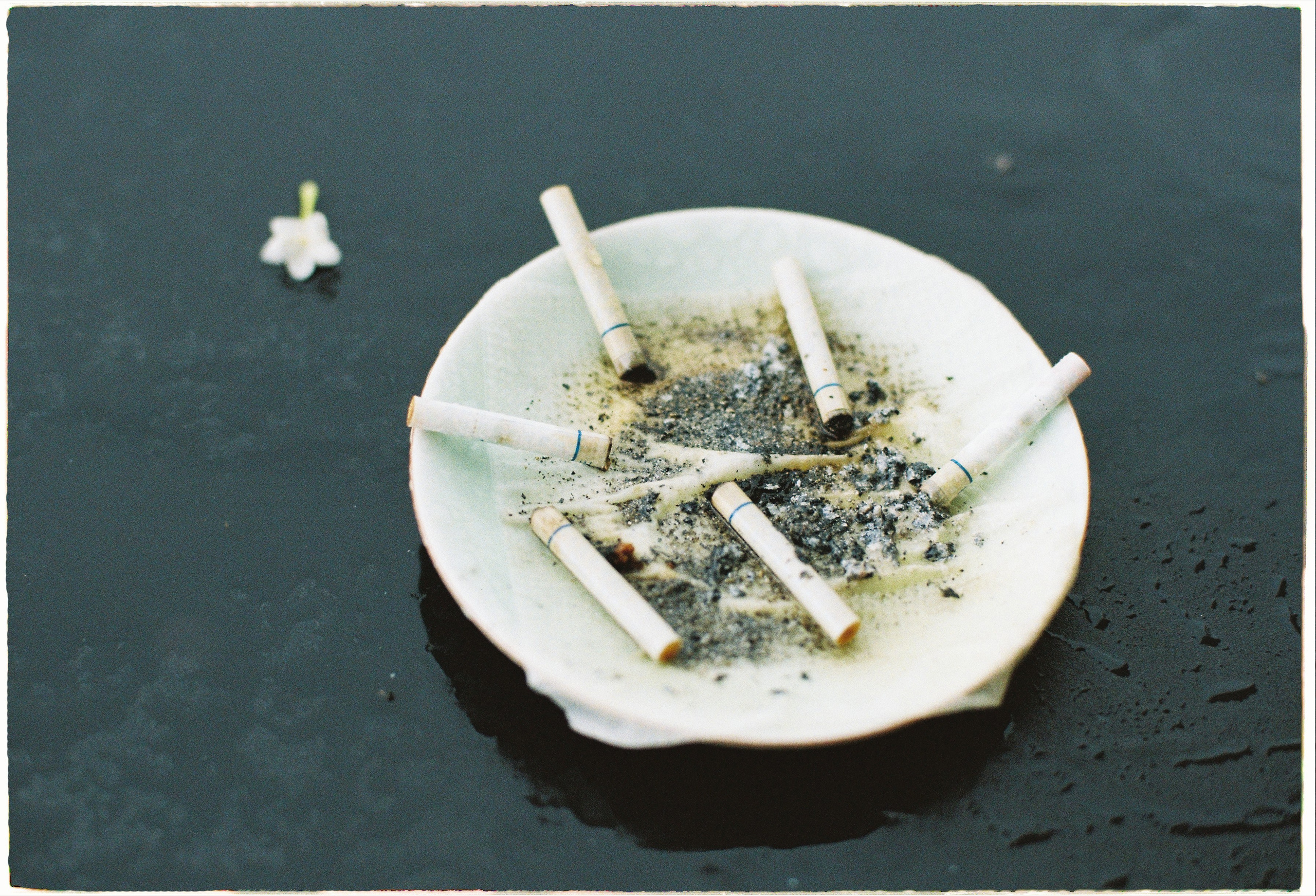 Hoi An. Film Photographer in Da Nang, Vietnam — Tanya Parfenteva