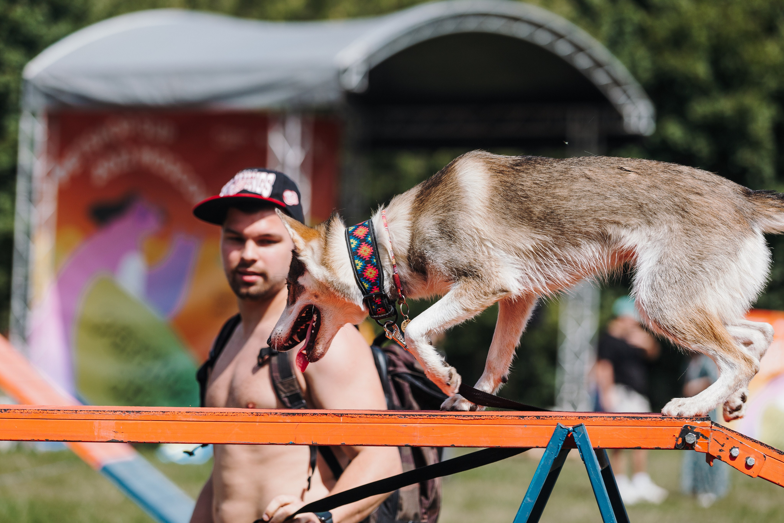 Petshop Sup day. Фотограф анималист Кристина Карпова, Москва