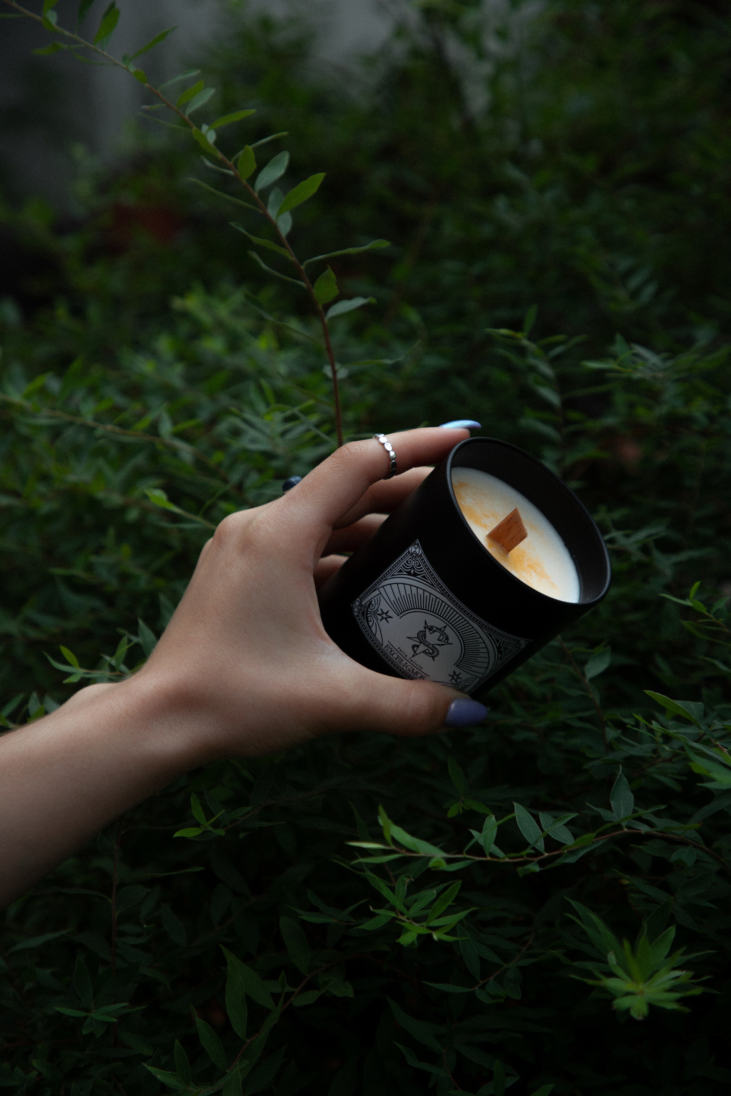 Exceligmos. Фотограф Анастасия Сонина