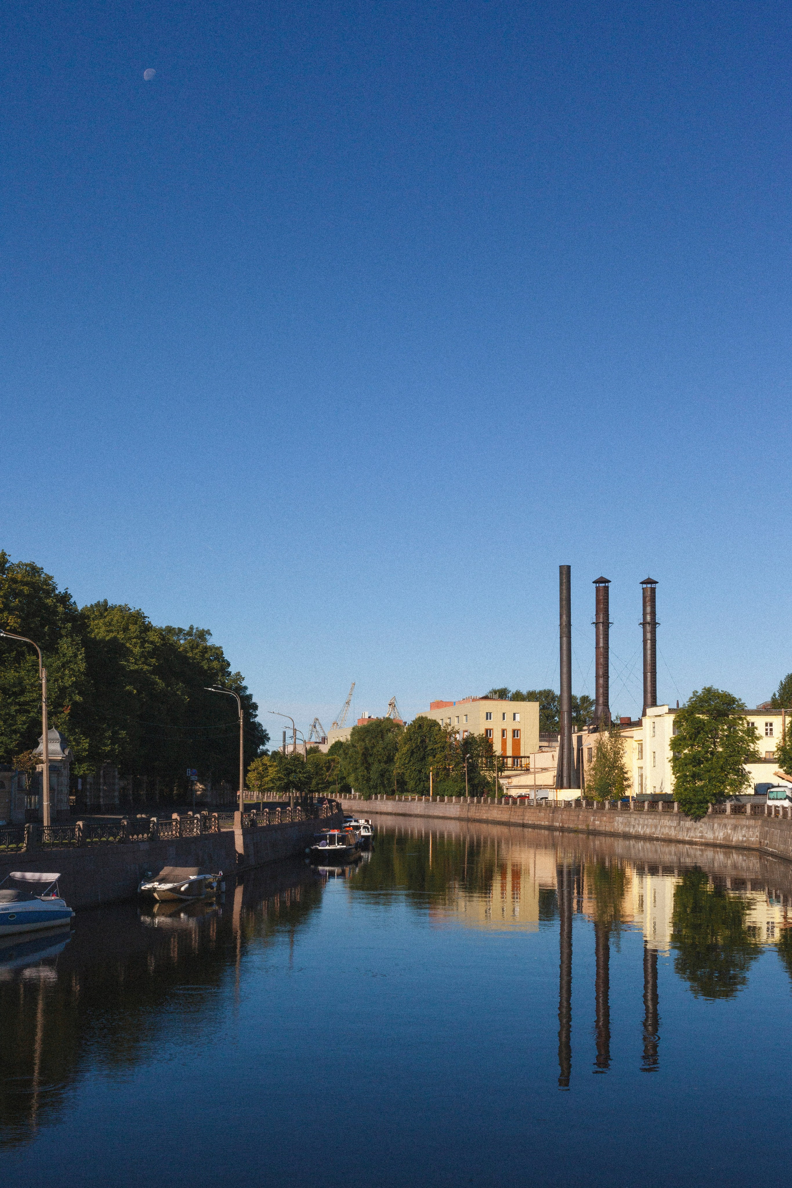 Фотовыставка в Санкт-Петербурге "А где ты гулешь с собачкой, если живешь в центре?"