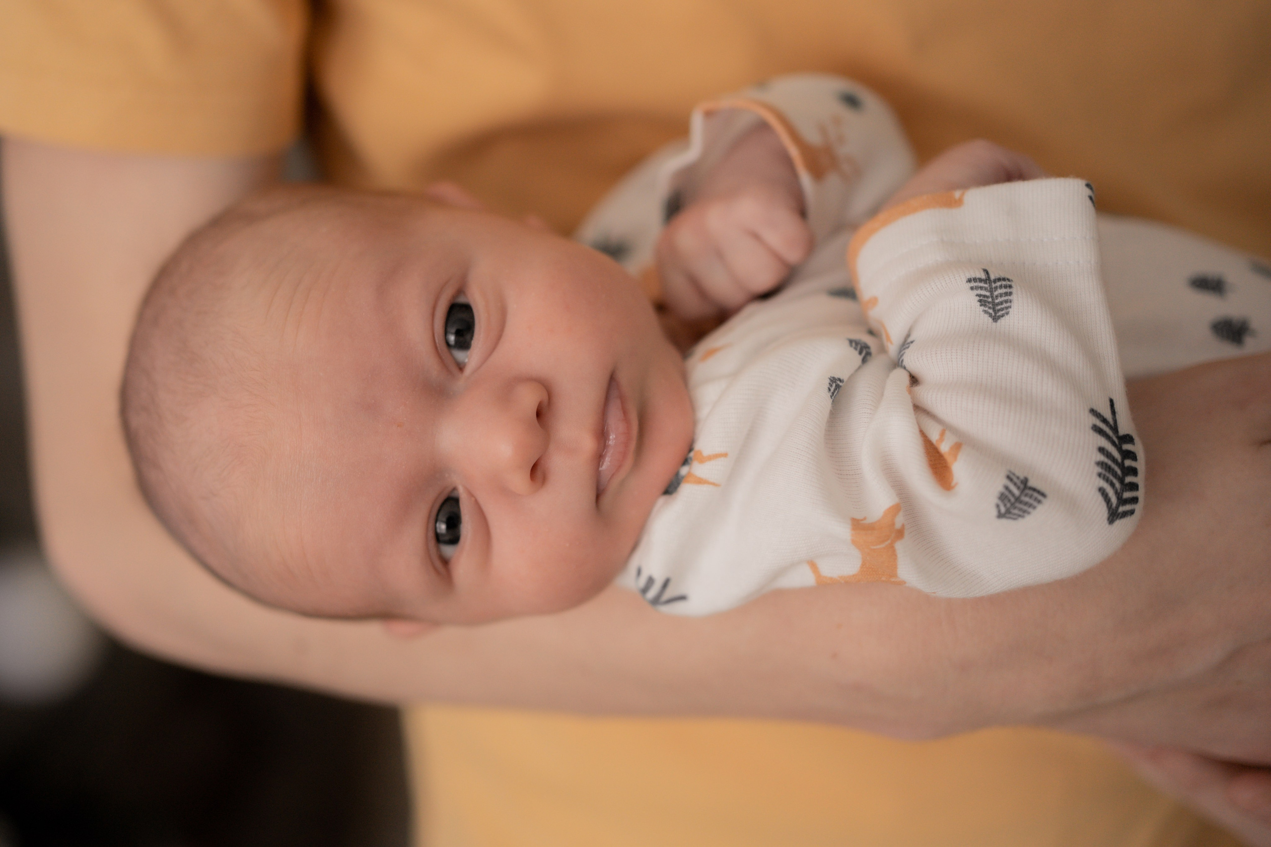 Оля, Коля, Аня, Рита. Фотограф грудного вскармливания в Москве Екатерина