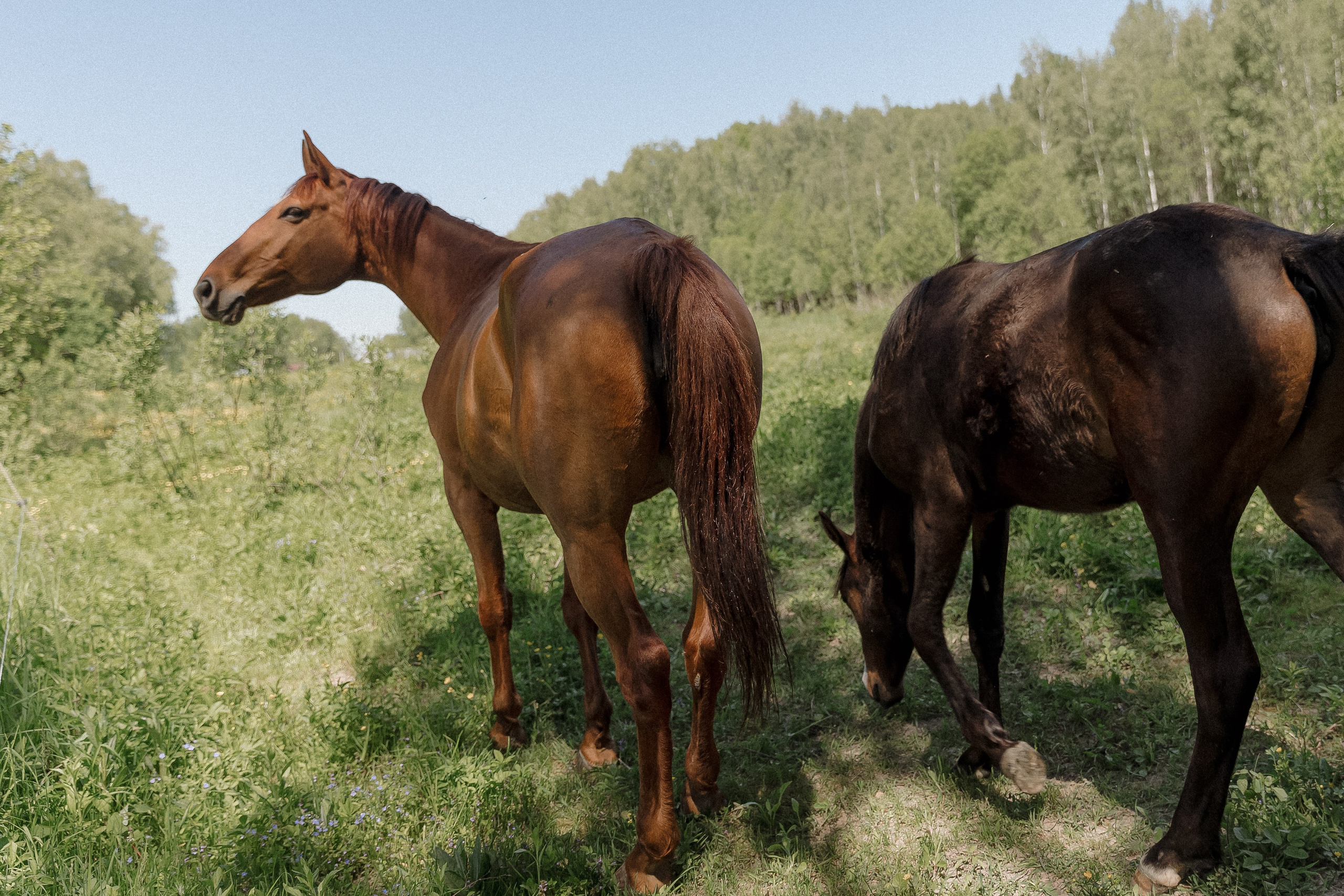Wedding day Андрей и Анастасия. Свадебный фотограф Колесников Антон