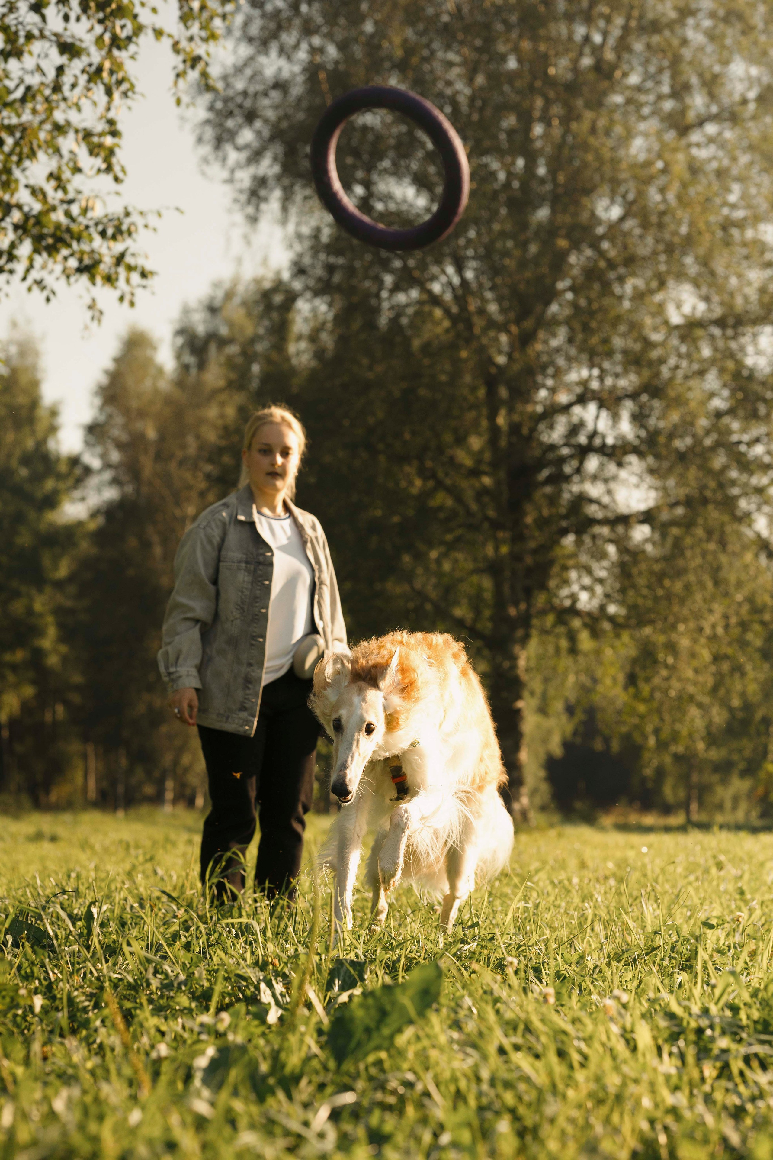 Тайга. Фотограф- анималист Александра Матвеева