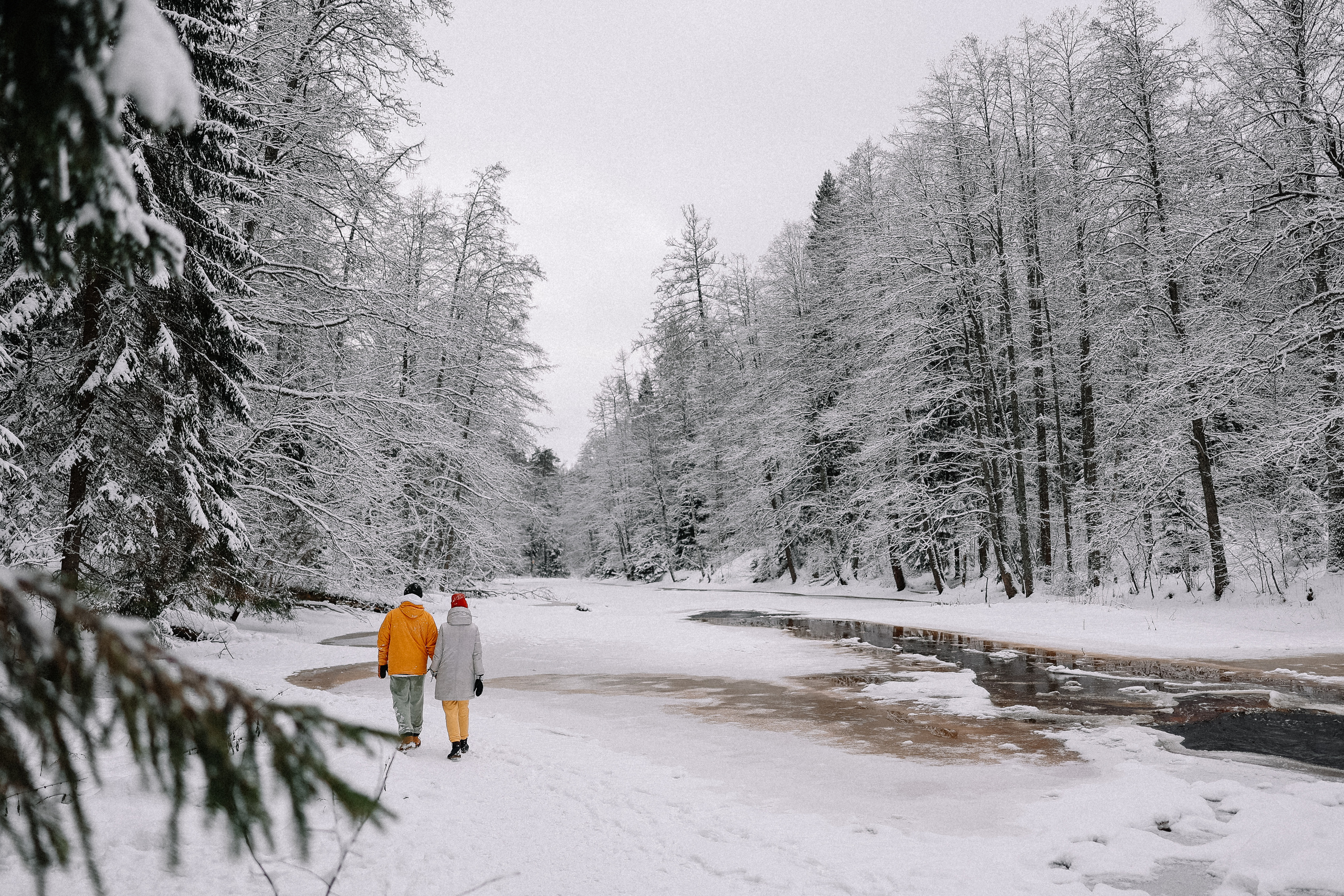 Среди снега. Свадебный и семейный Фотограф Денис Кошель