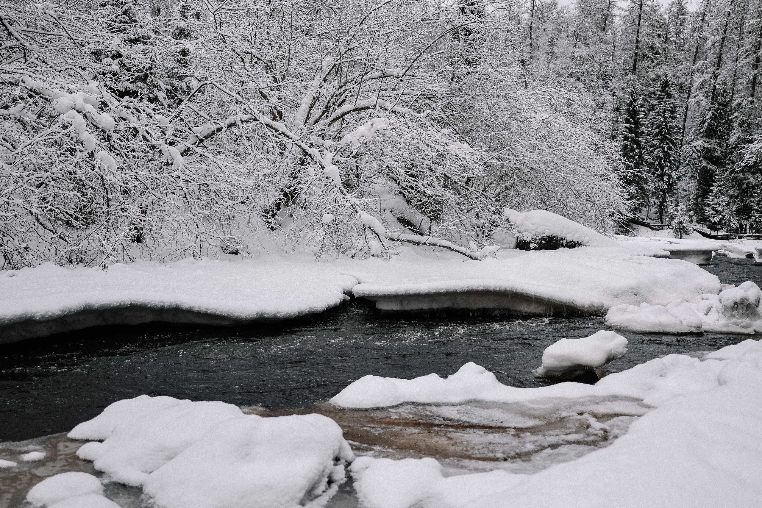 Среди снега. Свадебный и семейный Фотограф Денис Кошель
