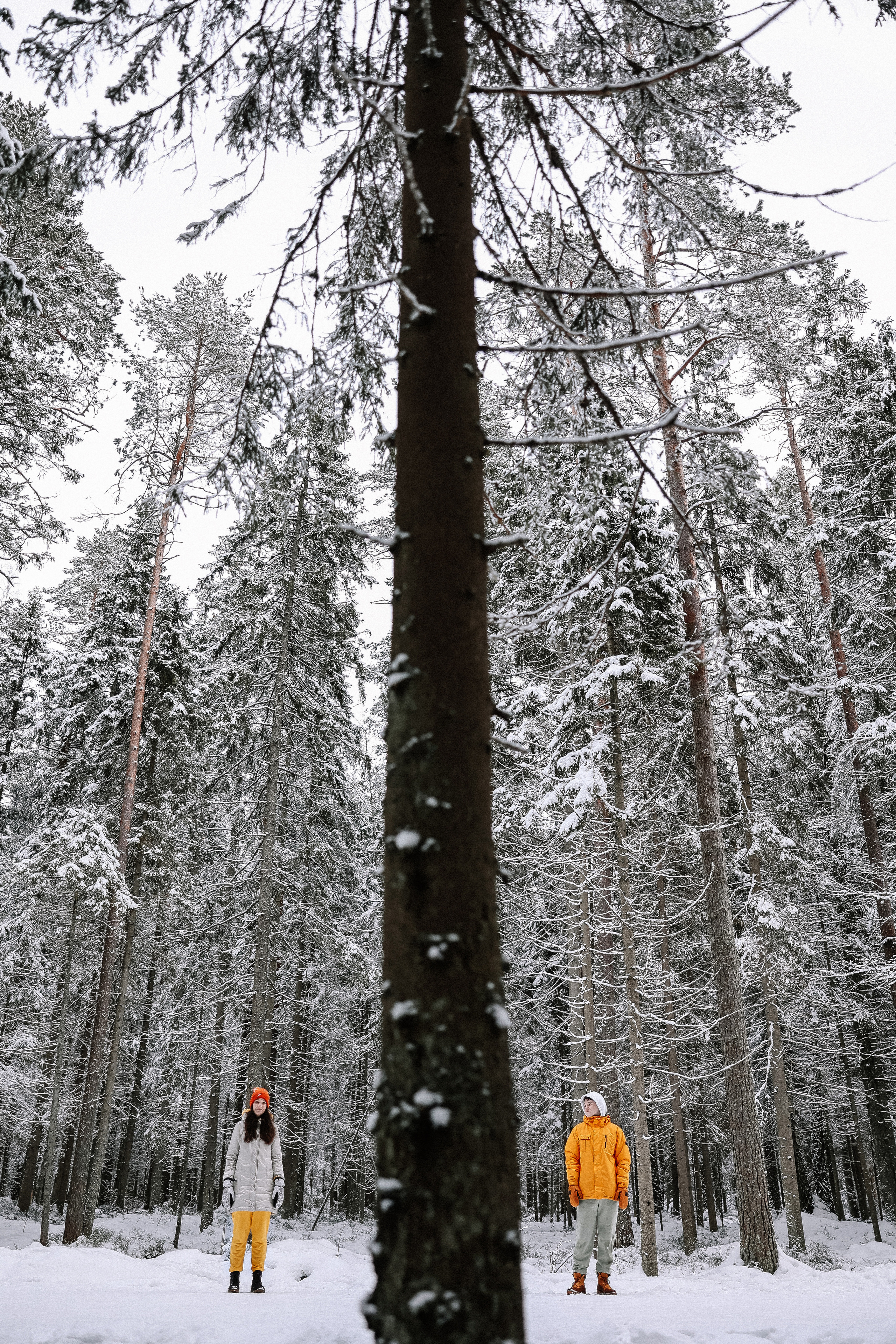 Среди снега. Свадебный и семейный Фотограф Денис Кошель