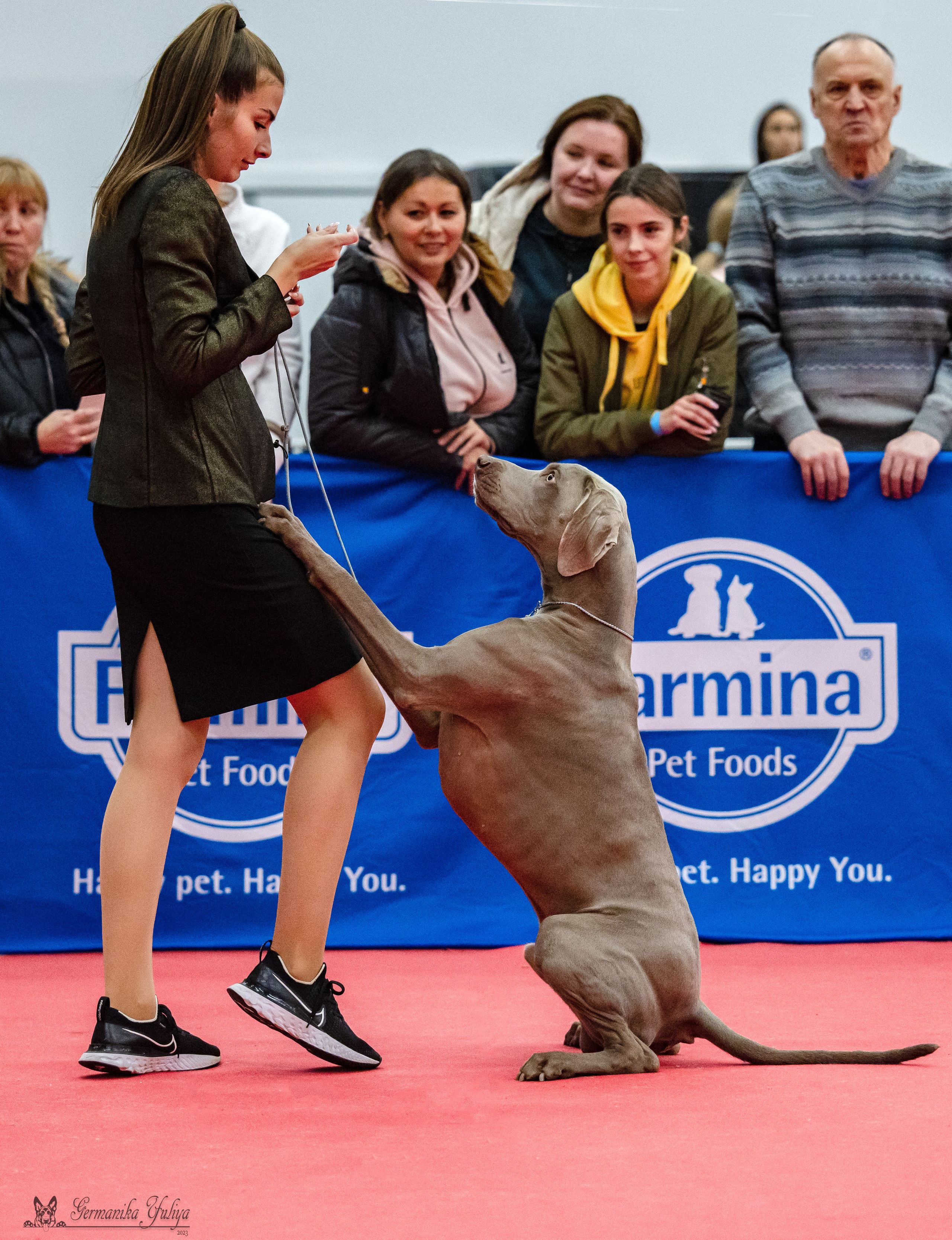 Нижний Новгород 21-22.10.2023. Фотограф-анималист Юлия Германика