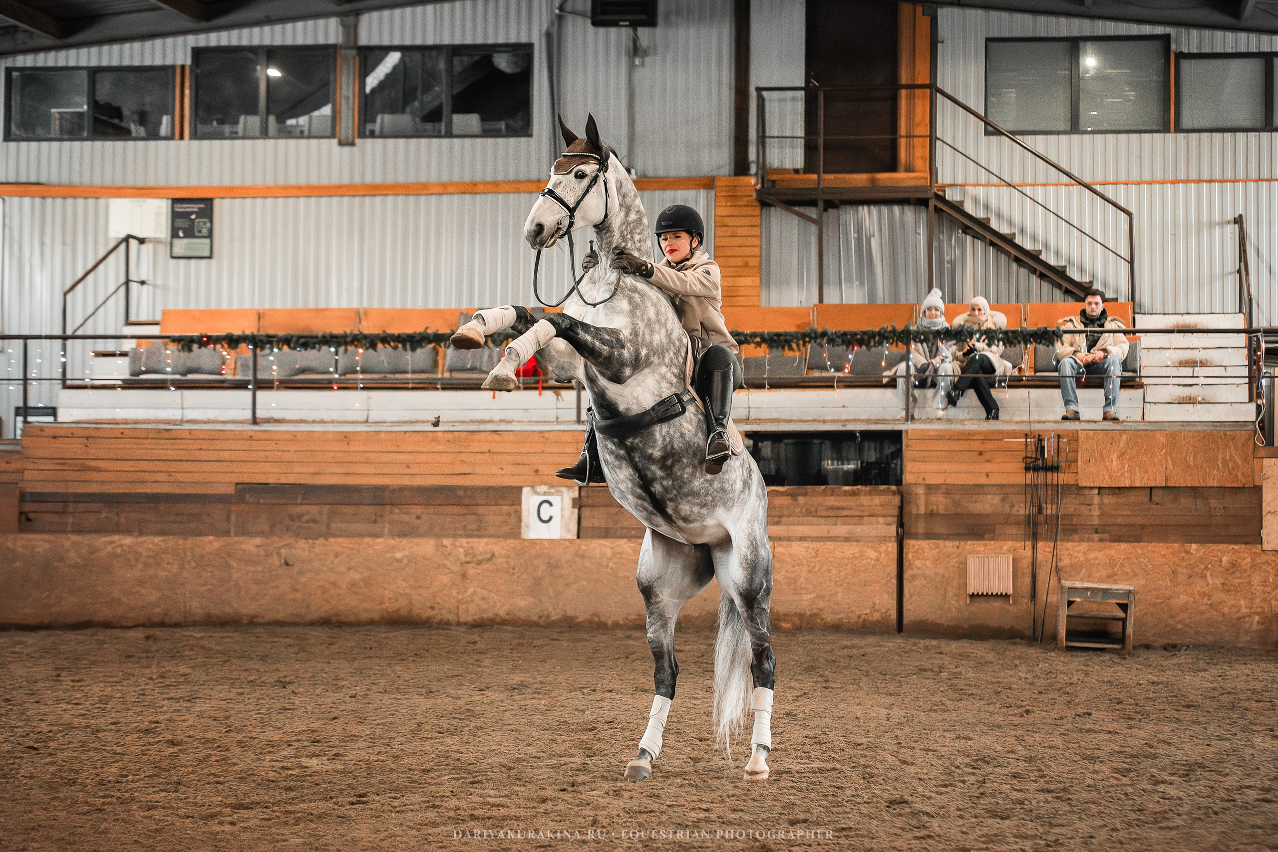 «ЮНА» Тренировка. Конный фотограф Куракина Дарья • Фотосессии с лошадьми