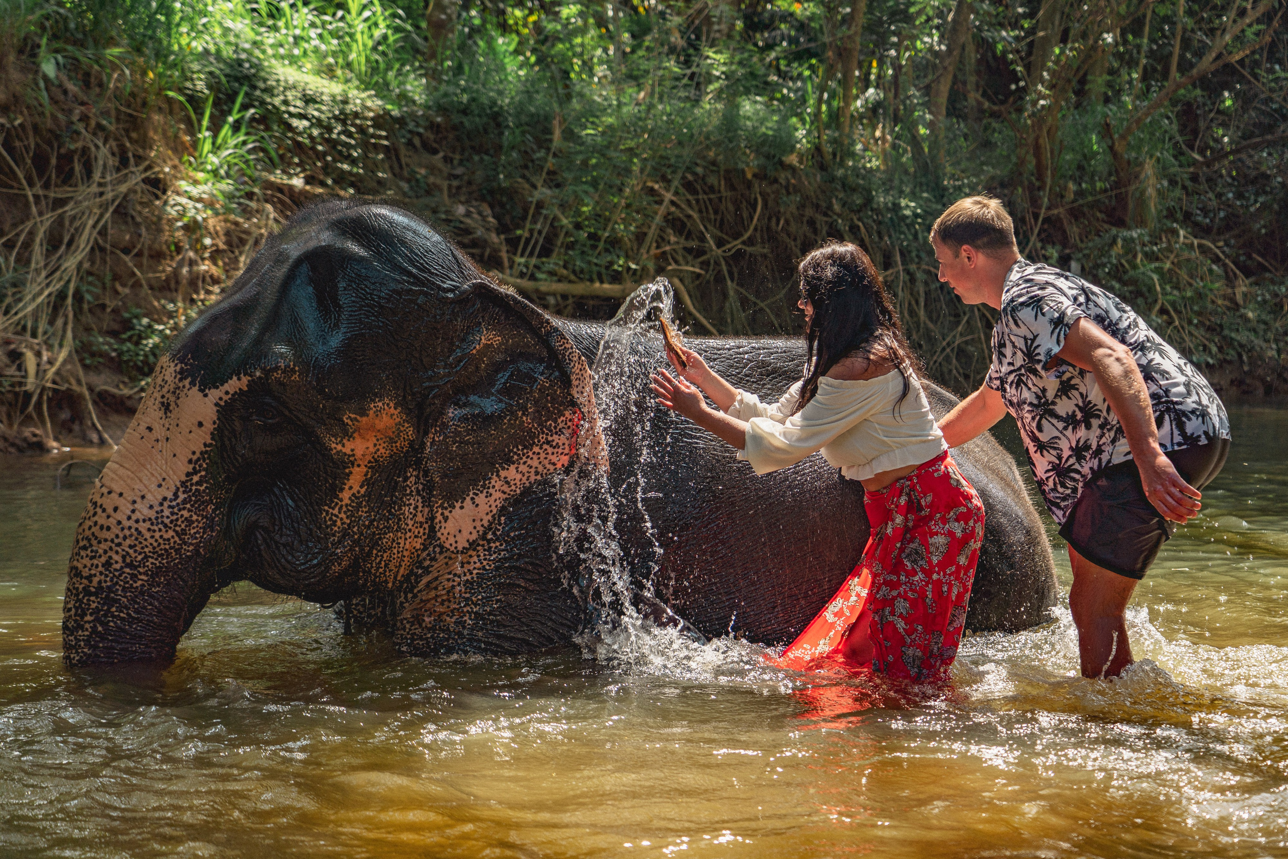 Bathing with elephants in Pinnawala, Botanical Garden