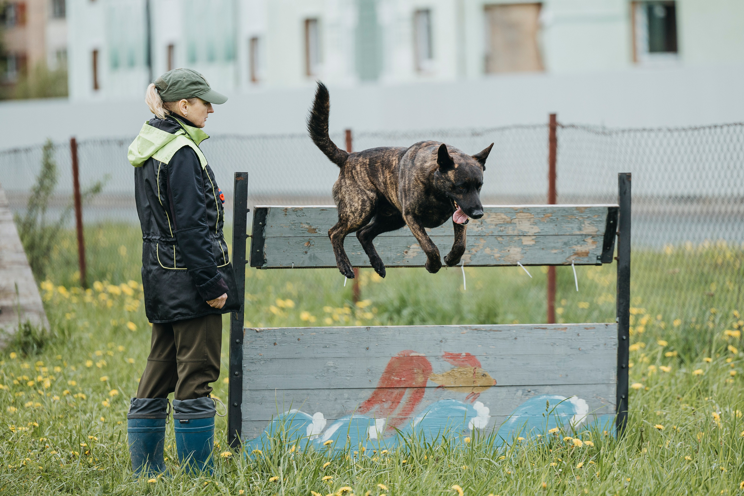 26.05.25 г. Пушкин квалификационные соревнования. Фотограф-анималист Анна Маринич