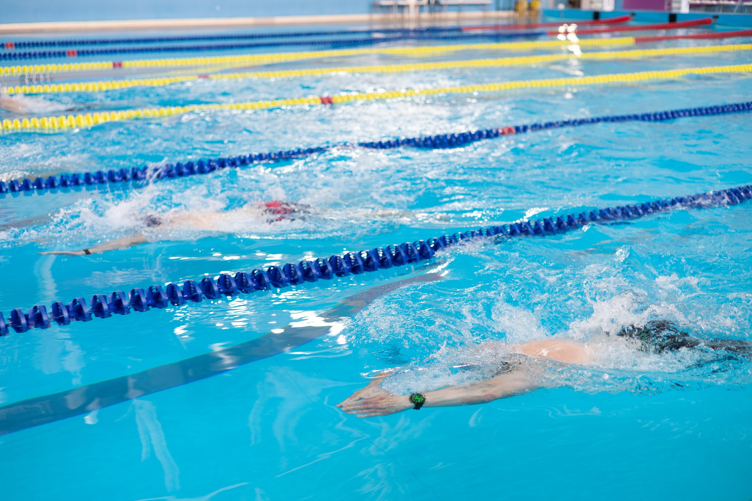 Спартакиада FESCO Плавание. Главная