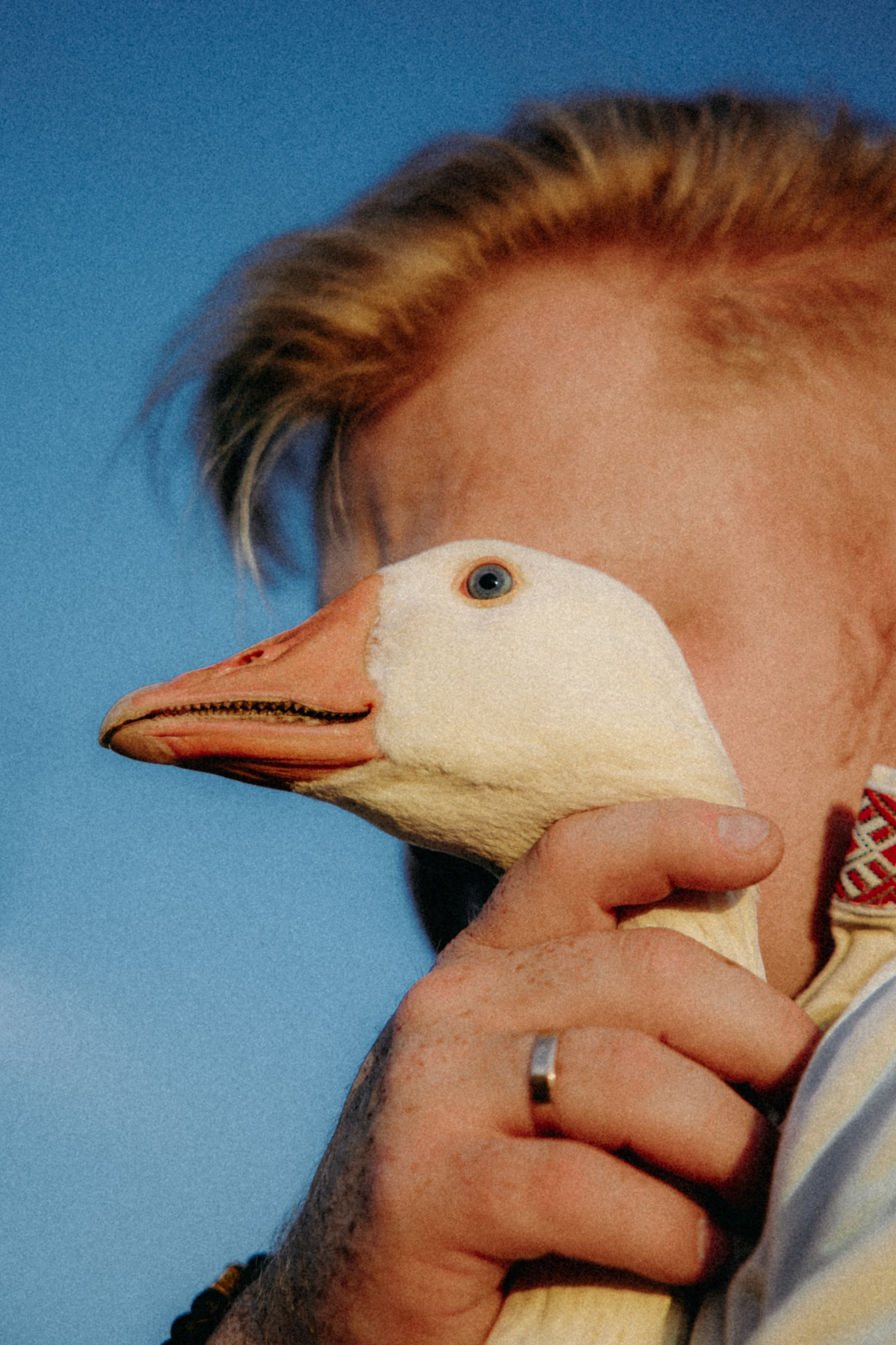 Глеб и Нильс. Фотограф в Саратове Александр Кухаренко. И не только в Саратове :)