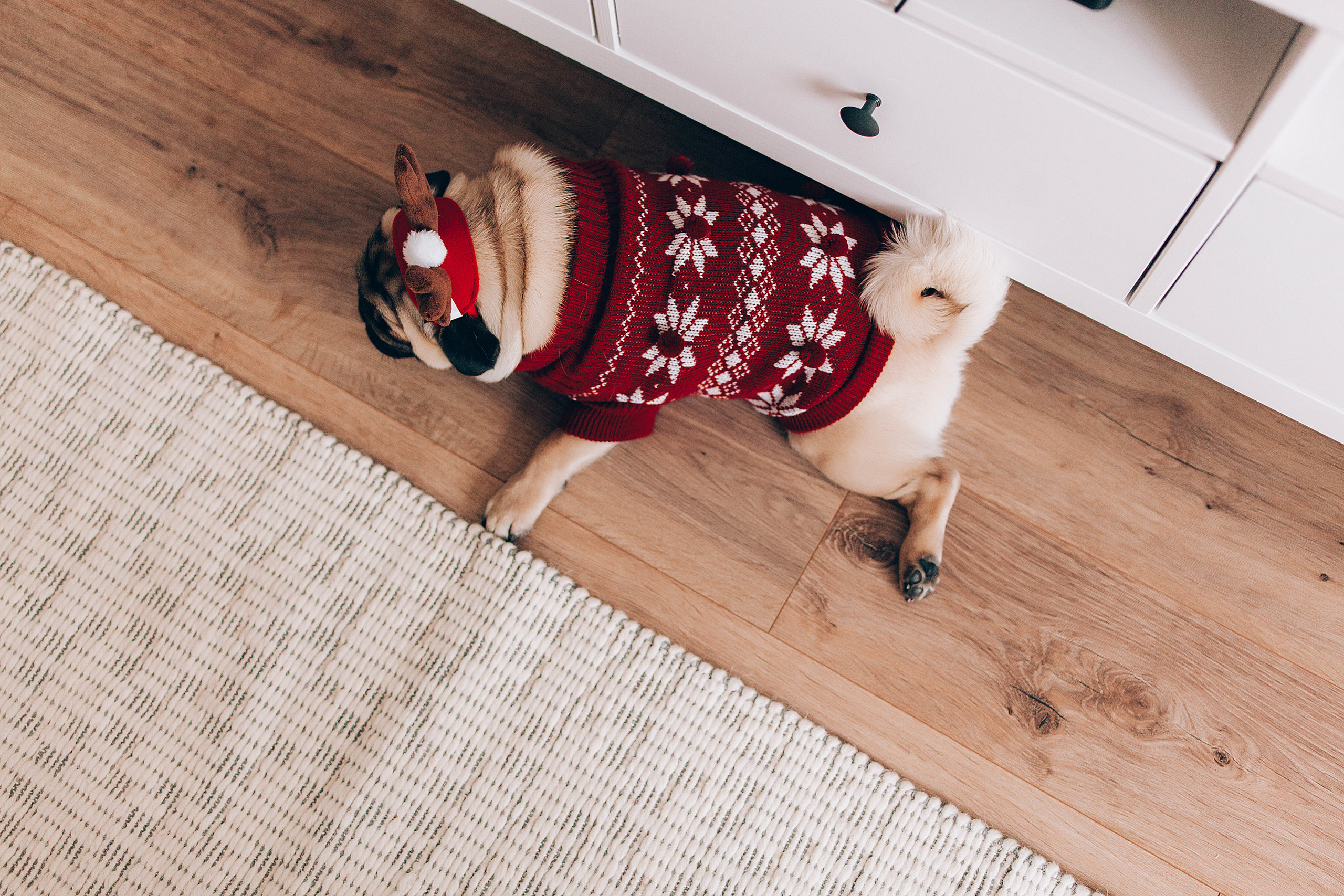 I&M. Пушистая Сова - Свадебный и портретный фотограф Воронеж, Москва, Питер