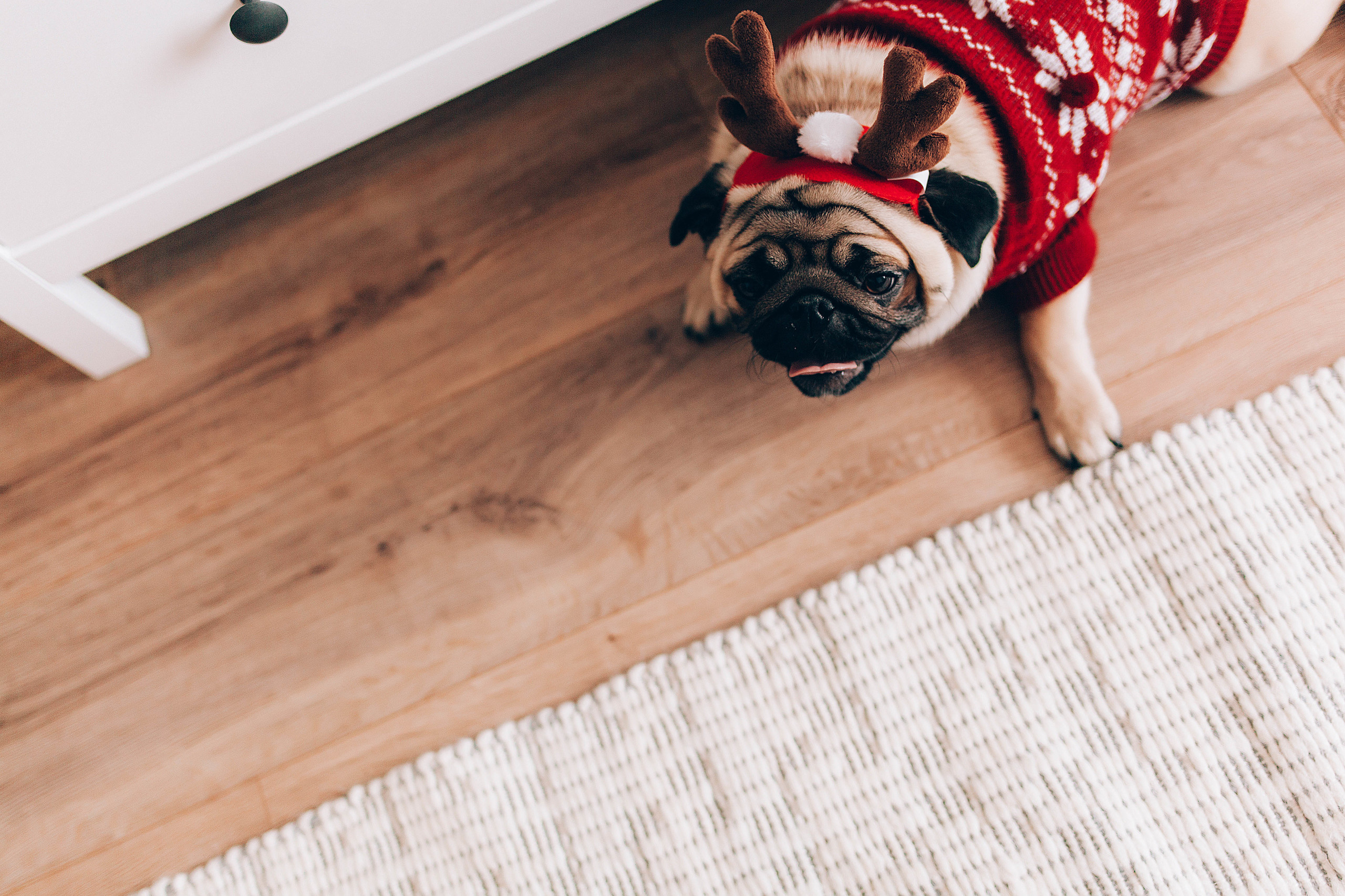 I&M. Пушистая Сова - Свадебный и портретный фотограф Воронеж, Москва, Питер